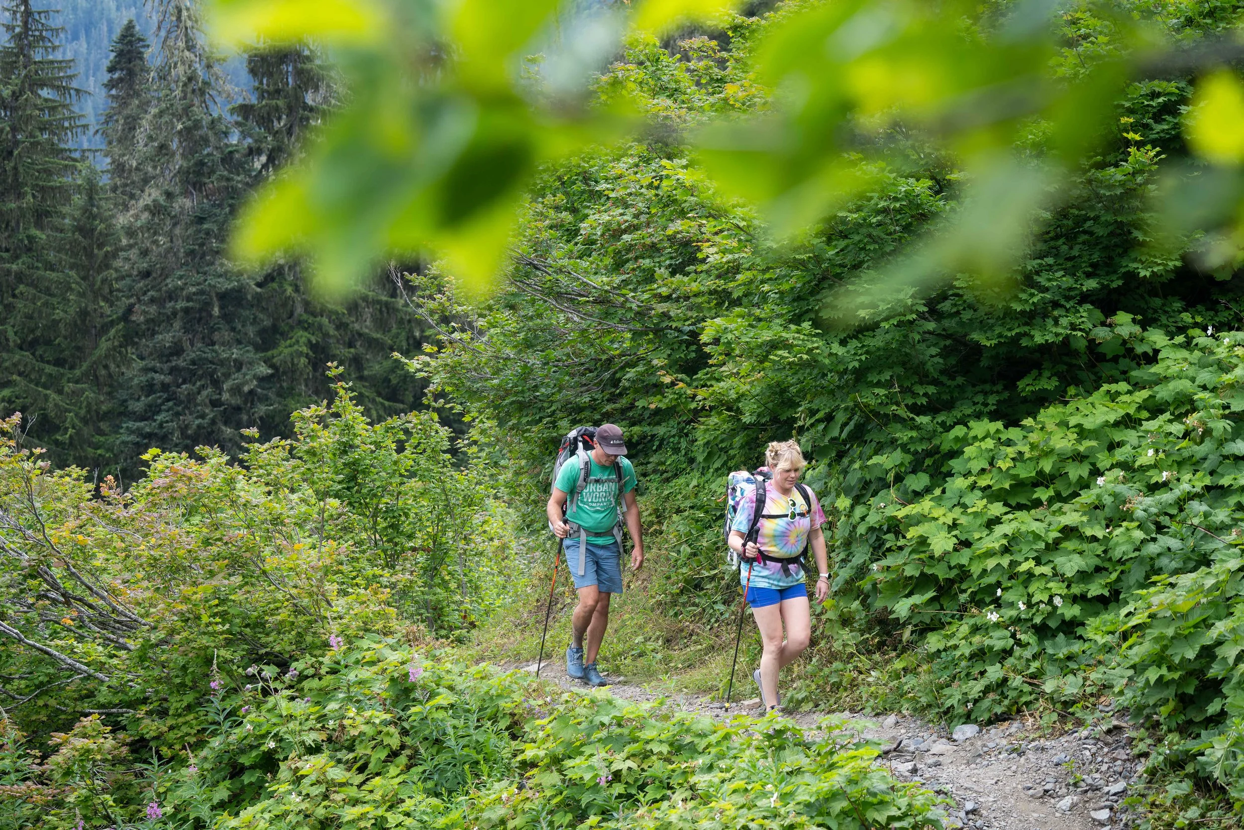 A bride and groom hiking through berry bushes and old growth trees on the Yellow Aster Butte trail on the way to their North Cascades elopement.