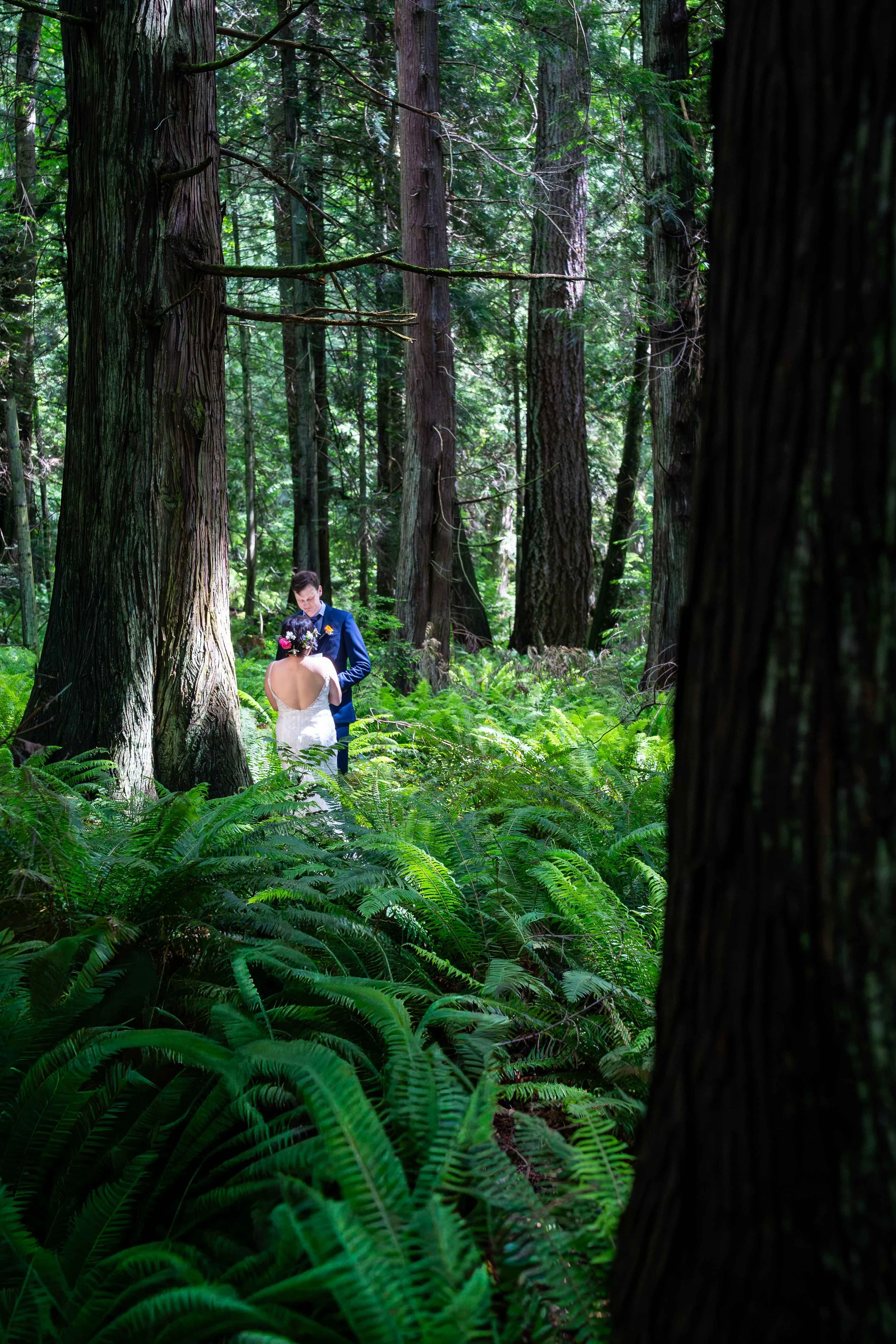 A bride and groom stand together in a dark forest filled with ferns and old growth trees. They are getting married on the Fragrance Lake Trail during a Larrabee State Park elopement near Bellingham, Washington.