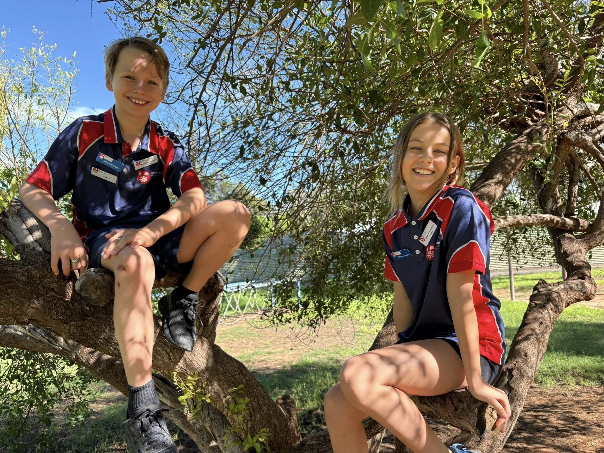 Two children sitting on a tree in a park, smiling, wearing navy blue and red uniforms, with green leaves and blue sky in background.