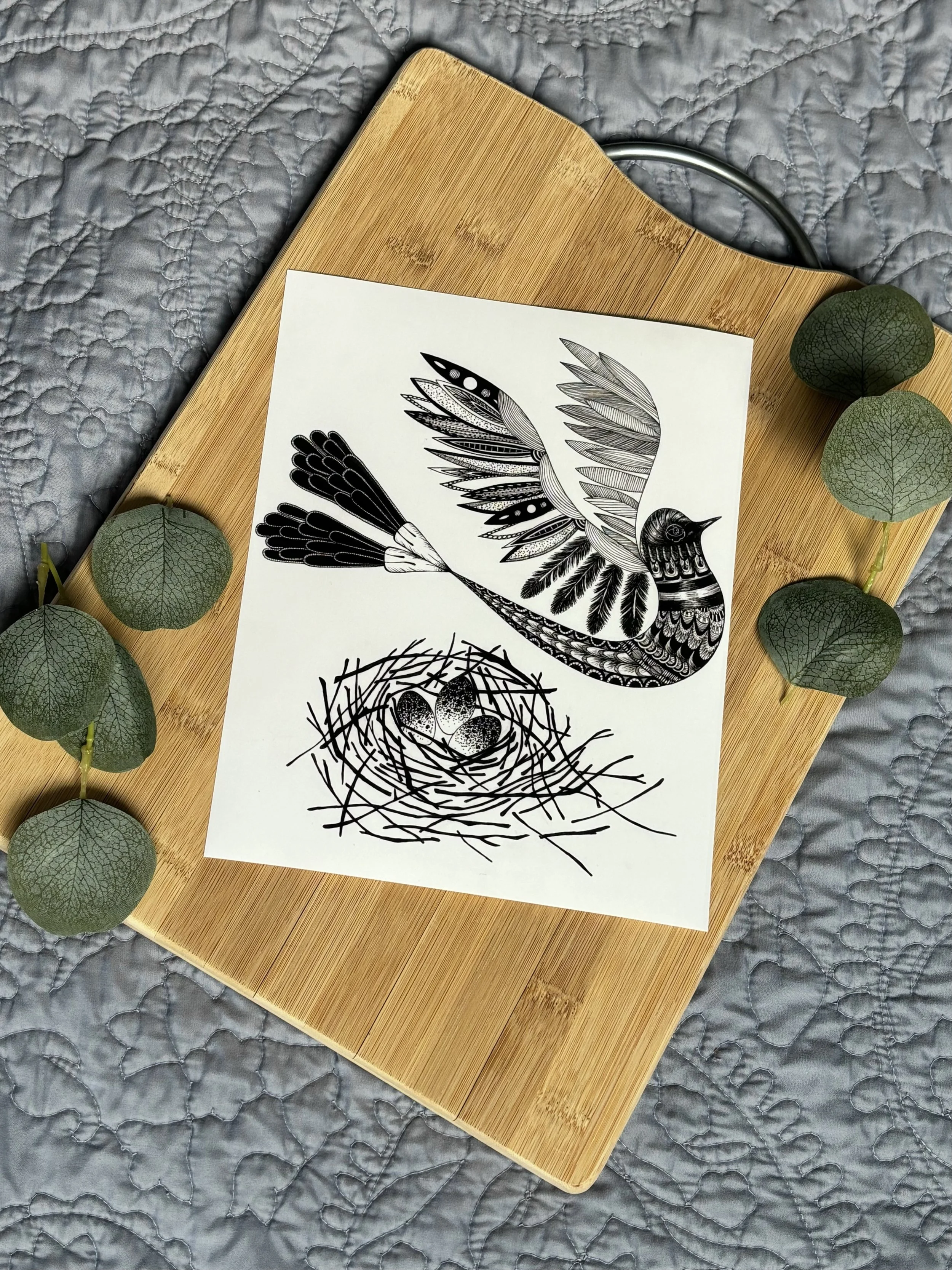 Hummingbird 3:3.jpg