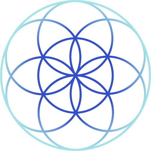 A digital illustration of a blue globe with a grid pattern, set against a black background.