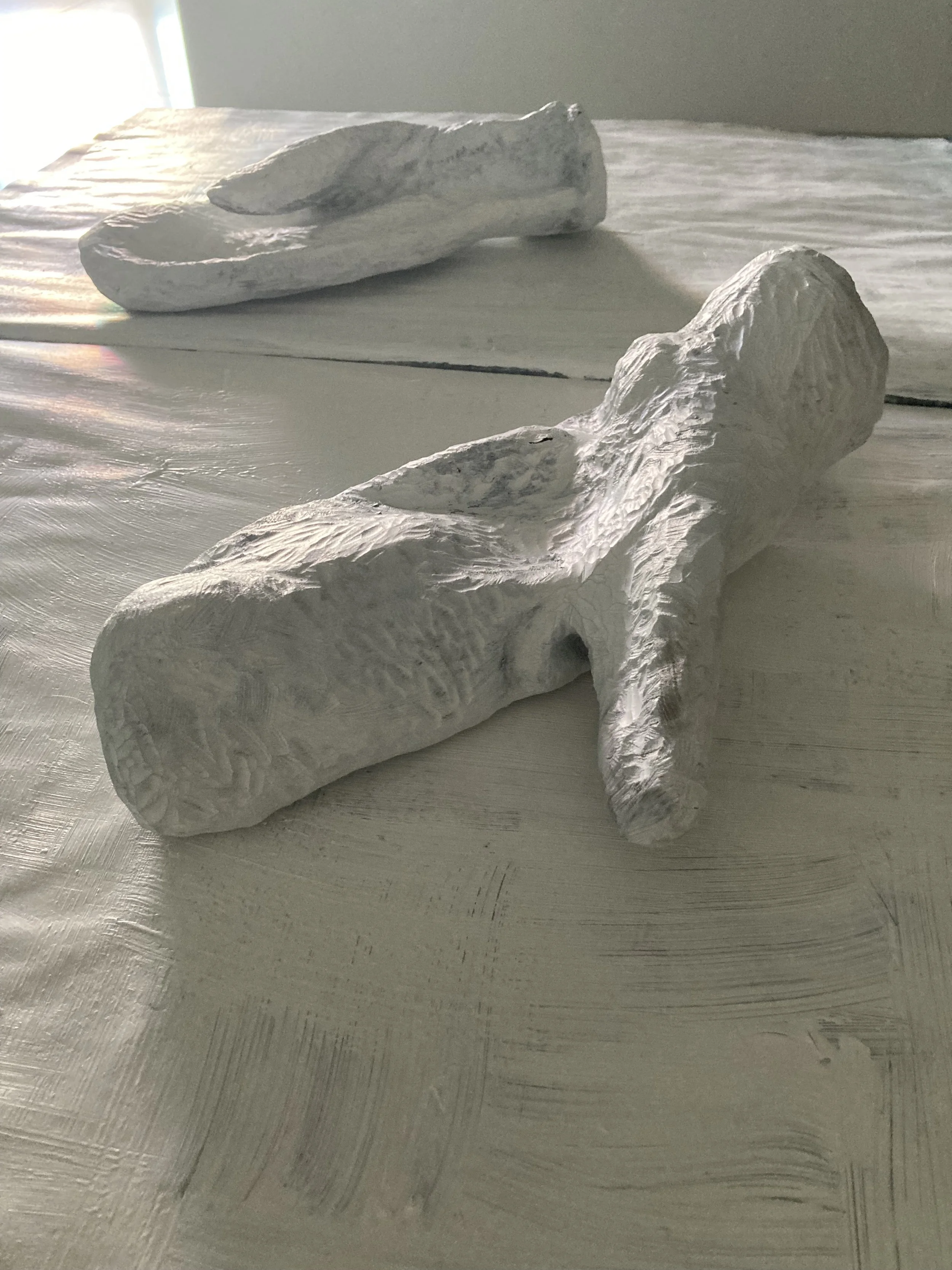 Labrador, carved and painted wood with book, 5 x 18 x 24 in, 2021