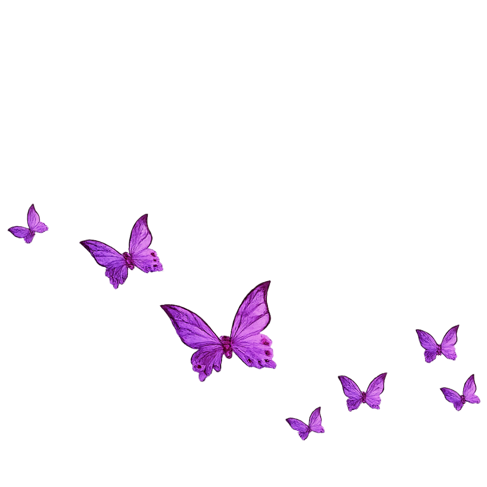 purple%252Bbutterflies%252Btransparent.png