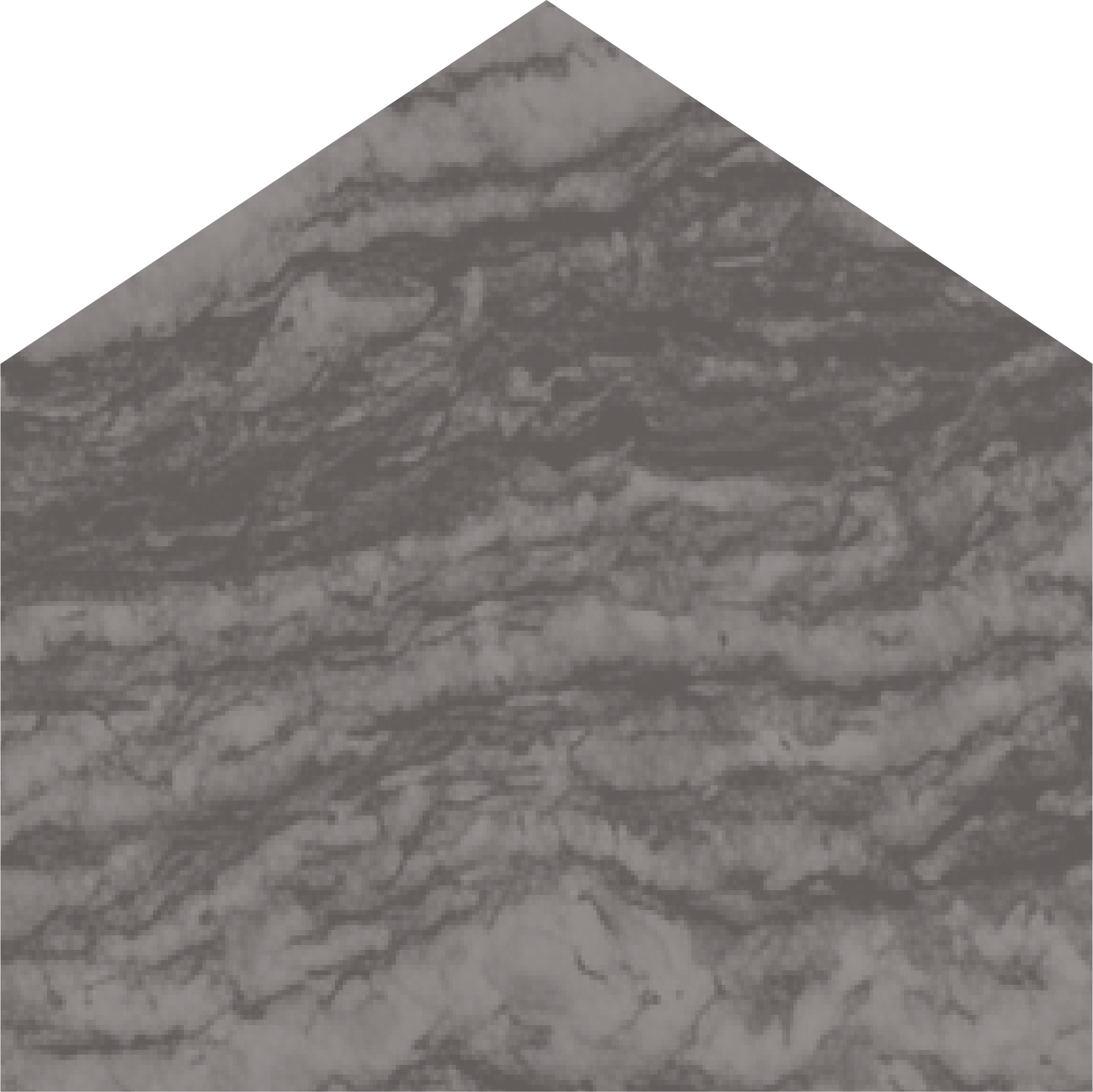 Solid home emblem with gneiss rock texture overlay in grey