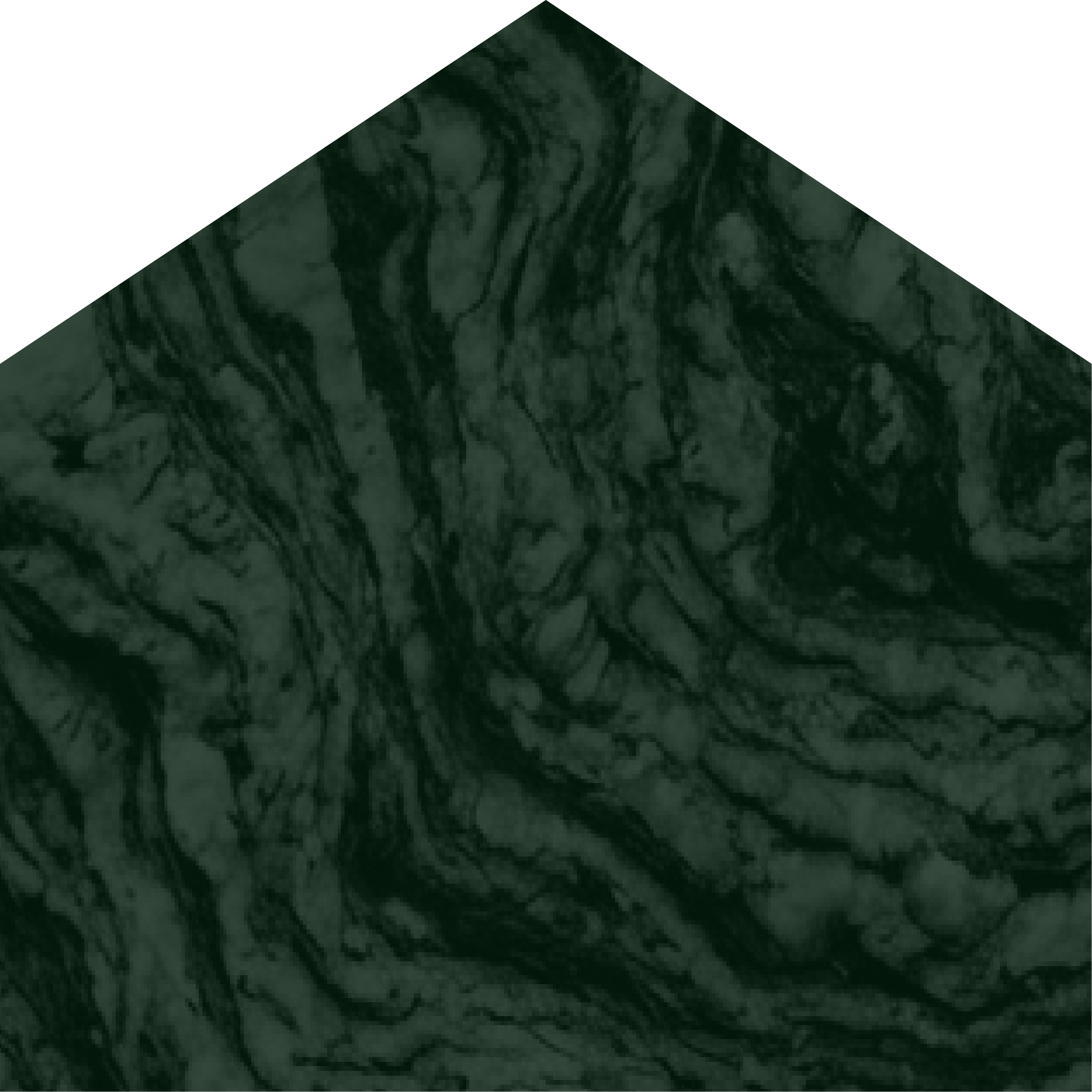 Solid home emblem with gneiss rock texture overlay in dark green