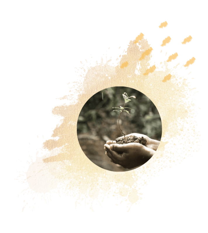 A person holding soil with a small seedling growing in it, symbolizing growth and nurturing.