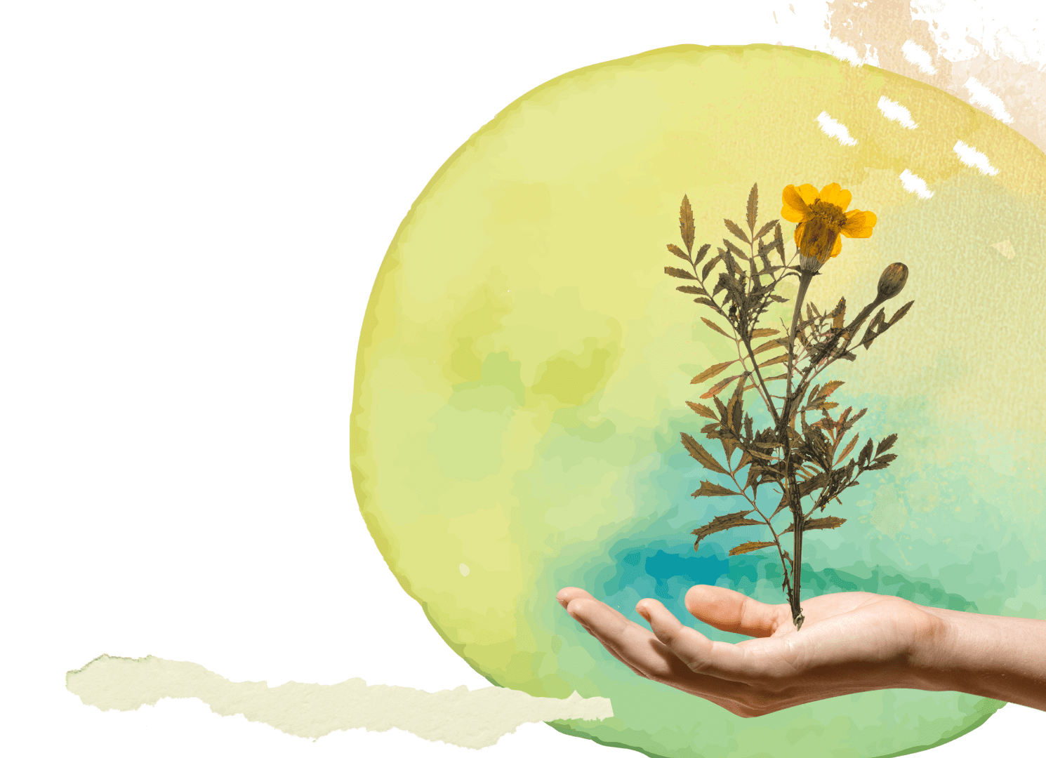A hand holding a small plant with yellow flowers against an abstract background of blue, green, yellow, and black watercolor-style circles.
