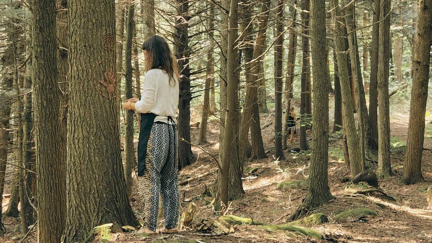 Deux femmes dans une forêt, l'une debout près d'un arbre, l'autre marchant sur un sentier en arrière-plan.