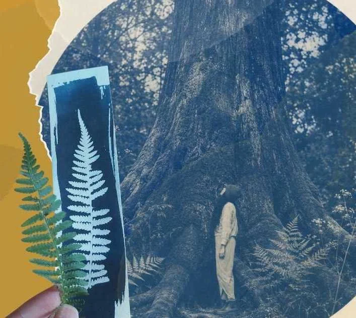 Retraite d'une journée en art-thérapie. Cyanotype en offrande
