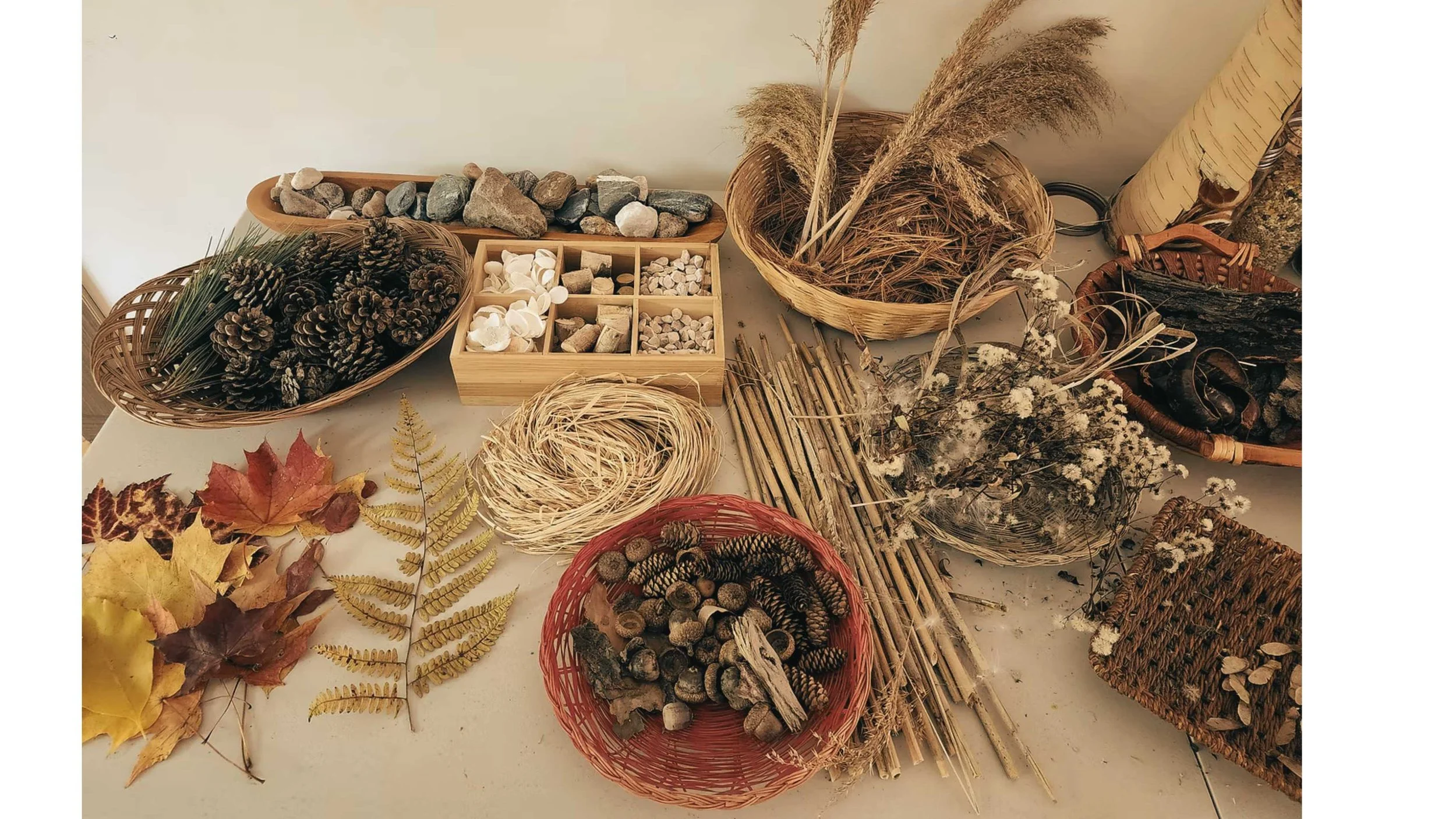 Divers objets naturels et décoration d'automne, y compris des feuilles mortes, des pommes de pin, des branches, des cailloux et des fleurs séchées, arrangés dans des paniers.