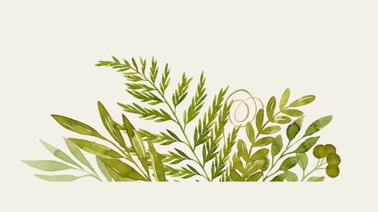 Illustration de plusieurs feuilles vertes variées et de différentes formes sur un fond clair.