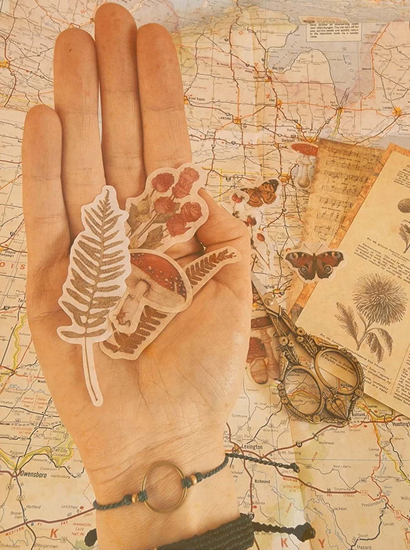 Une main tenant des autocollants de différentes plantes et champignons, posée sur une carte géographique avec des morceaux de papier et des ciseaux à proximité