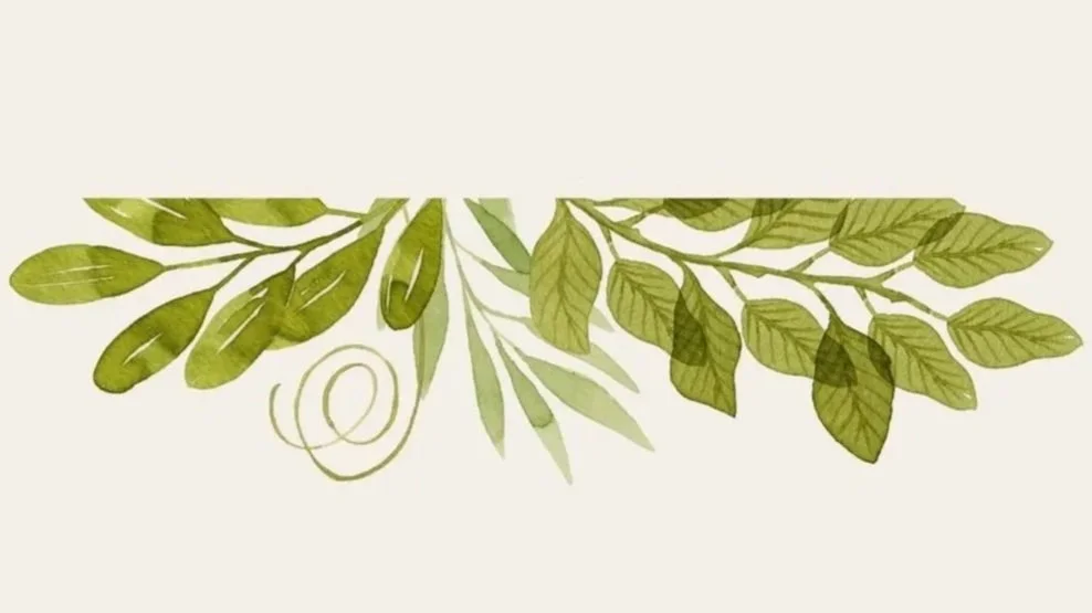 Illustration de branches d'arbres avec des feuilles vertes sur un fond beige