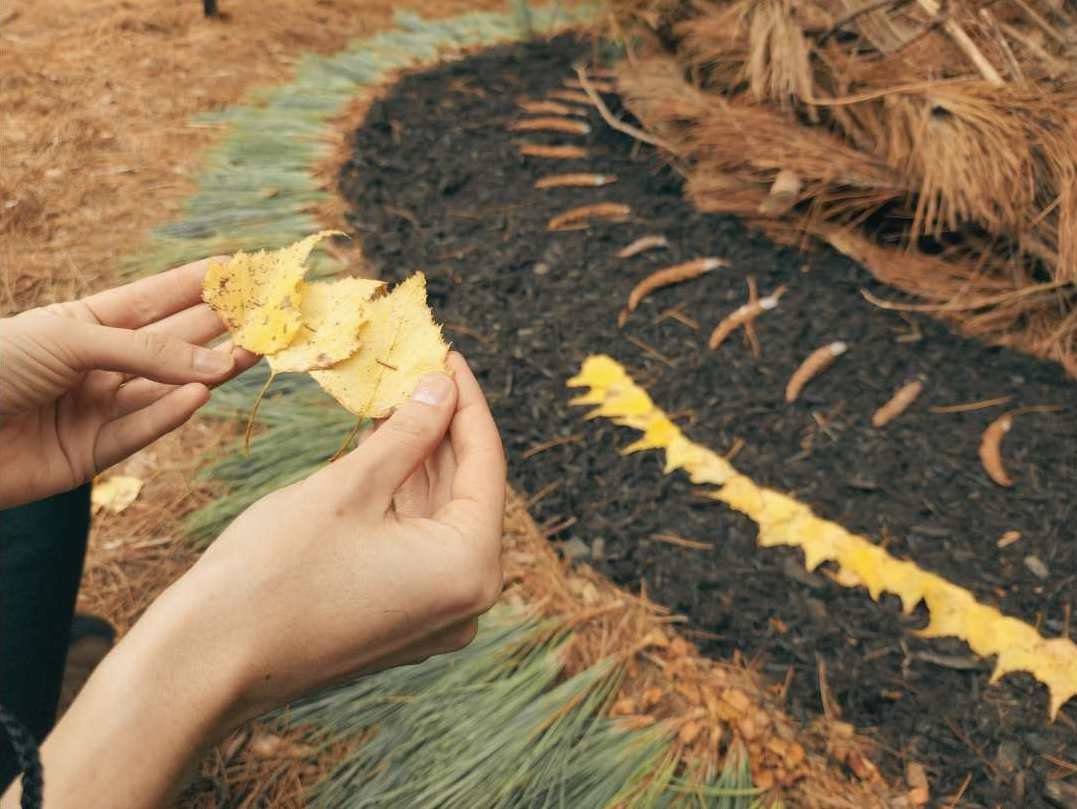 Une personne tiens une feuille d'automne jaune avec un fond de sol sombre et de feuilles sèches.