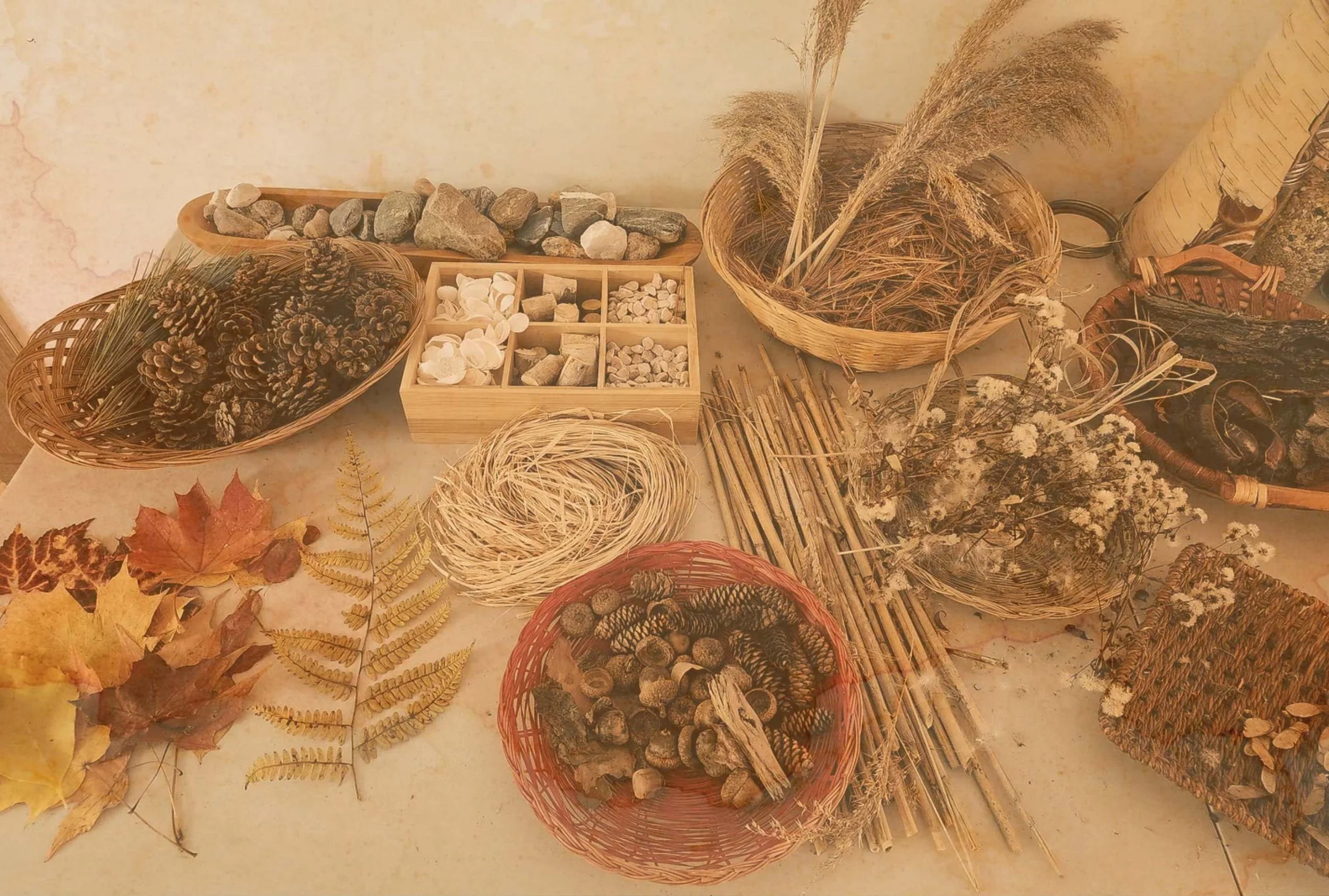 Divers objets naturels en osier, bois, pierres, feuilles mortes et plantes sèches disposés sur une surface.