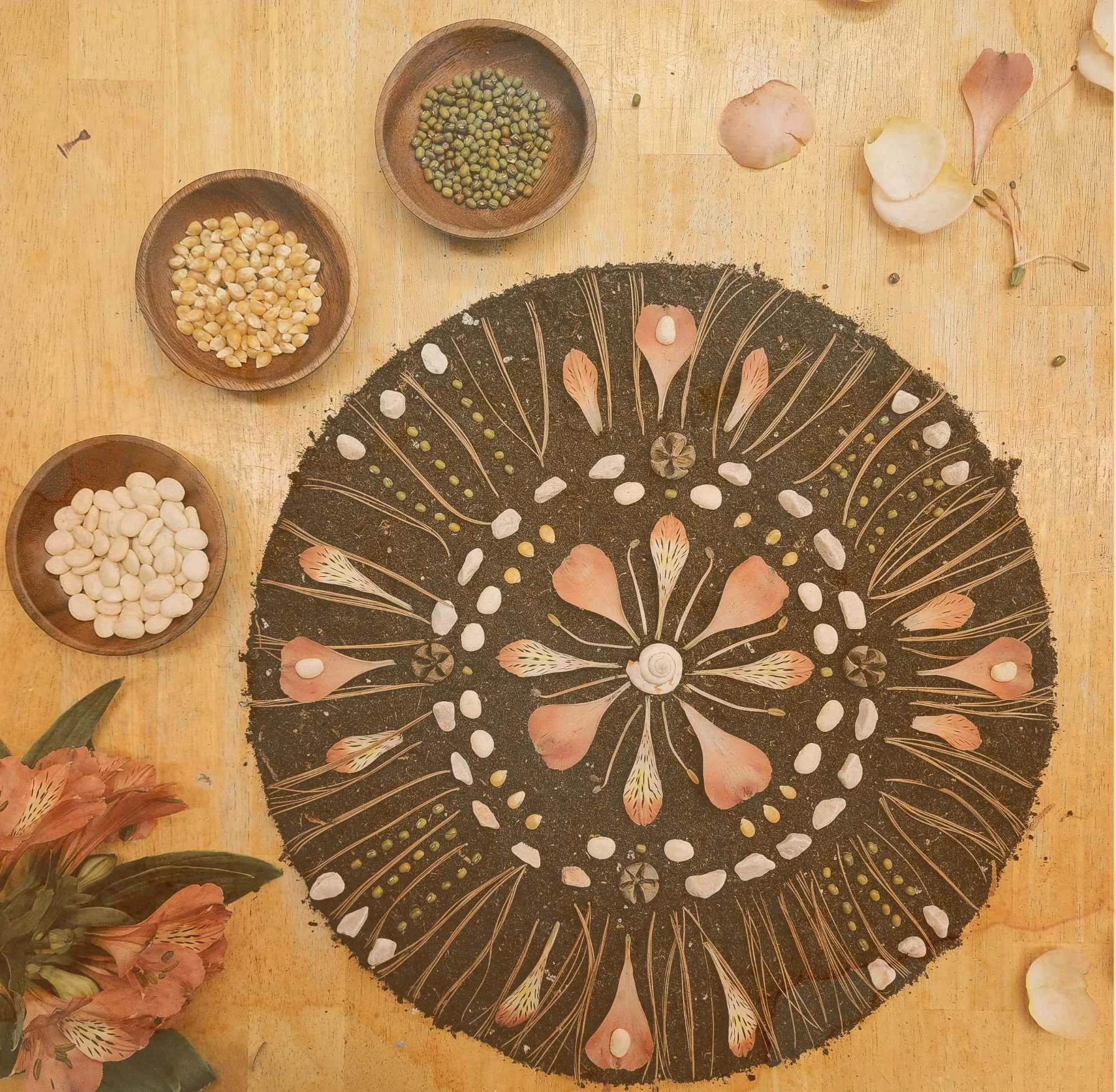 Disques en bois contenant des graines variées (pois verts, pois blancs), placés autour d'un motif de mandala peinte sur une surface en bois, ornée de pétales de fleurs et de feuillage.