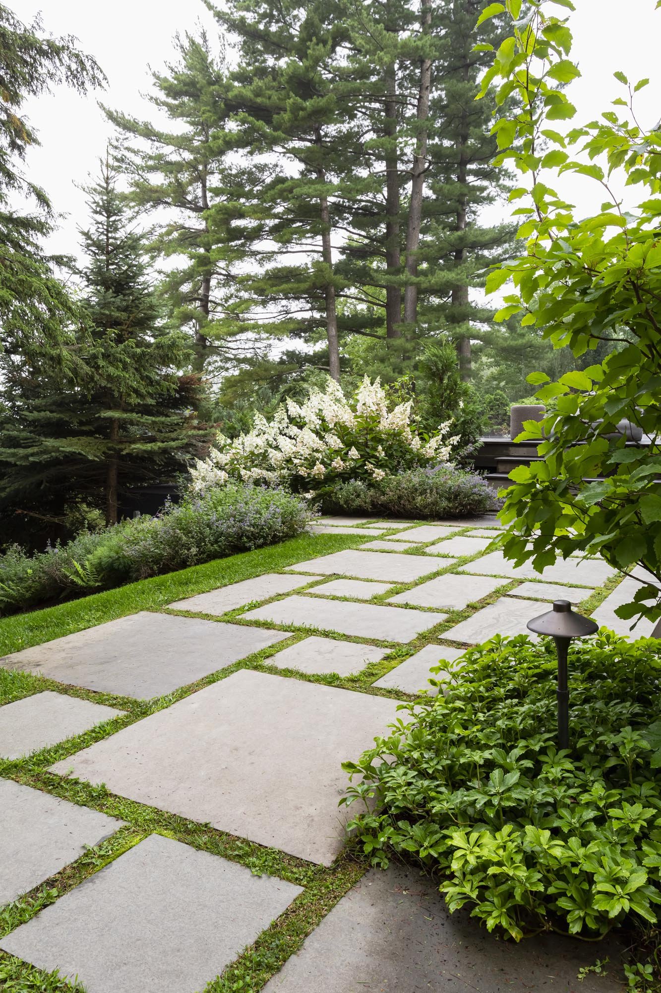 A lush, green backyard garden with a stone pathway, various bushes, and tall trees, including pine trees, in the background. There is also a small lamp near the bushes.