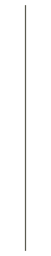 A tall, thin black microphone on a stand.