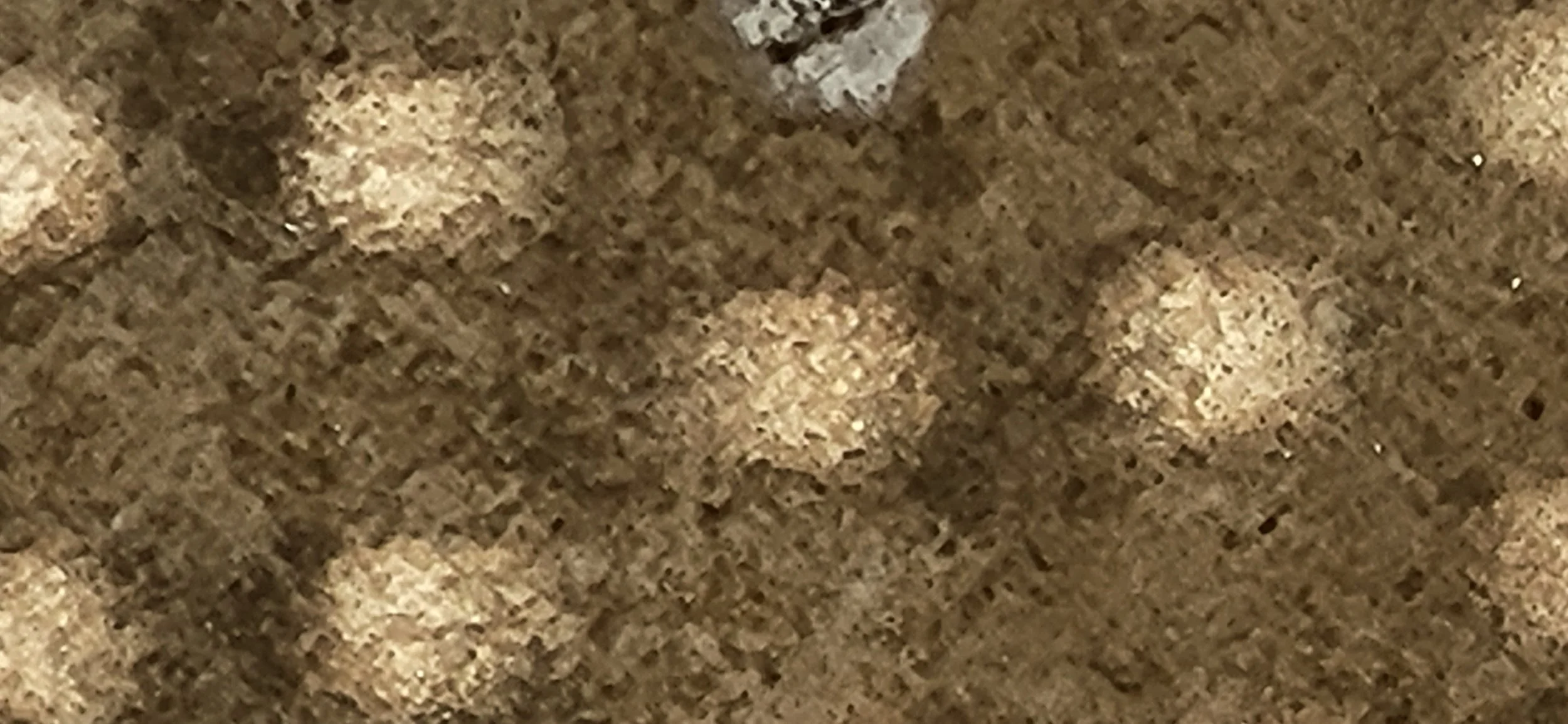 20260301_122949.jpg