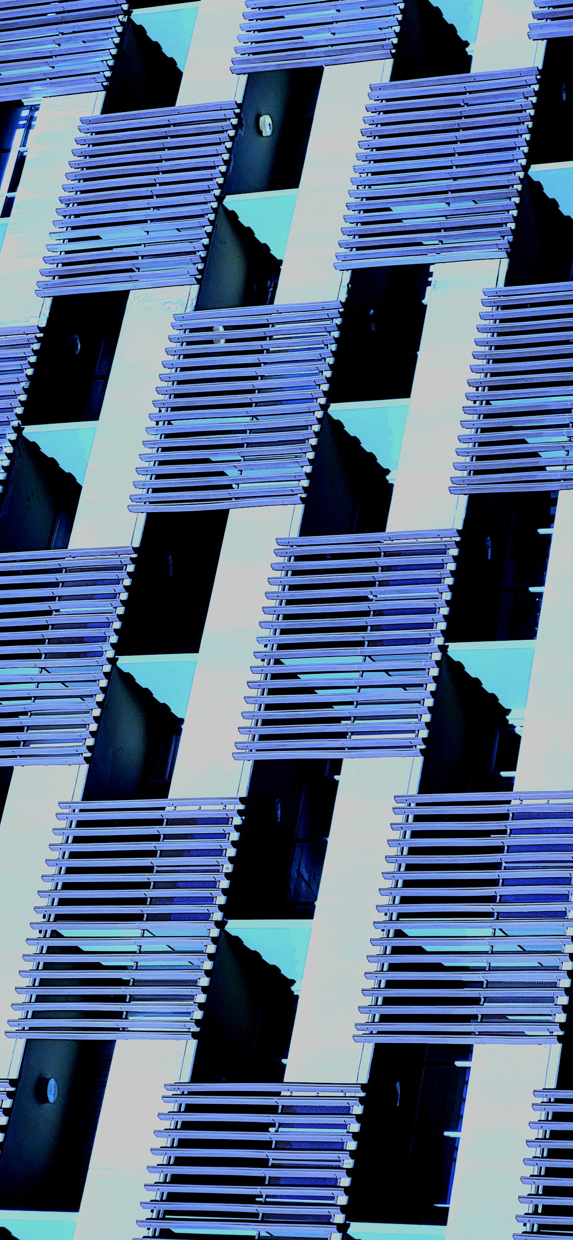 20251014_172521.jpg
