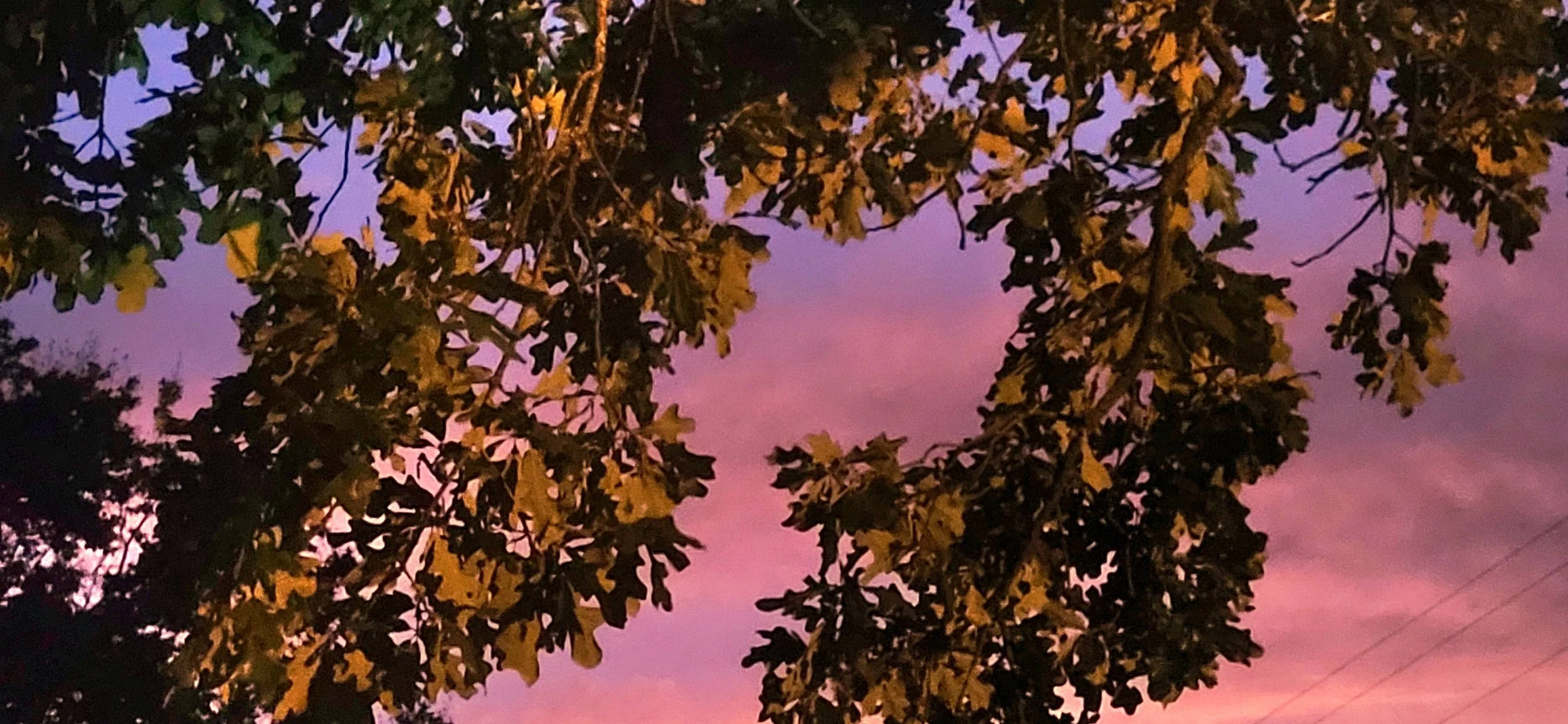 20260418_202250.jpg