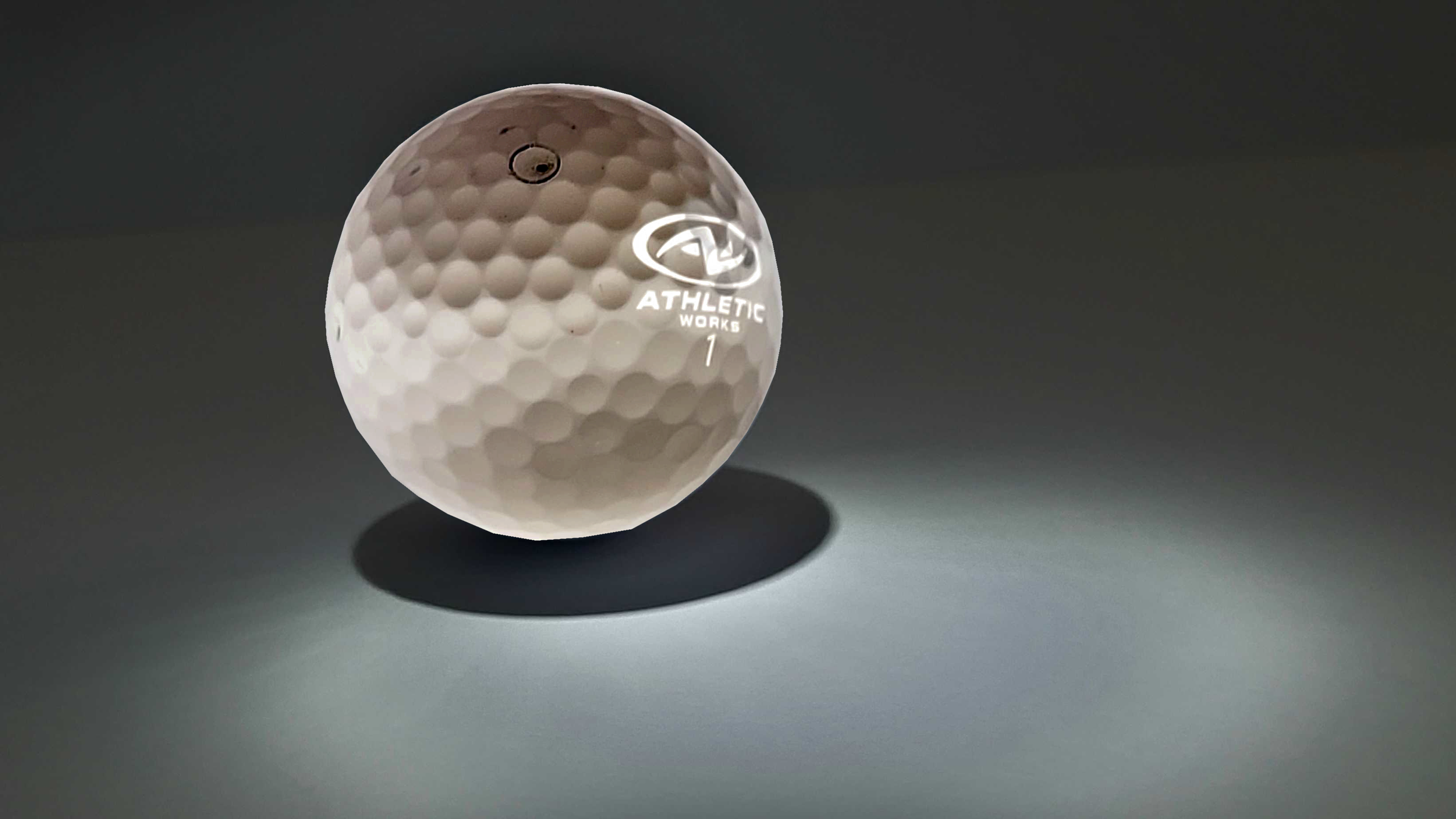 negative positive landon aksamit.png