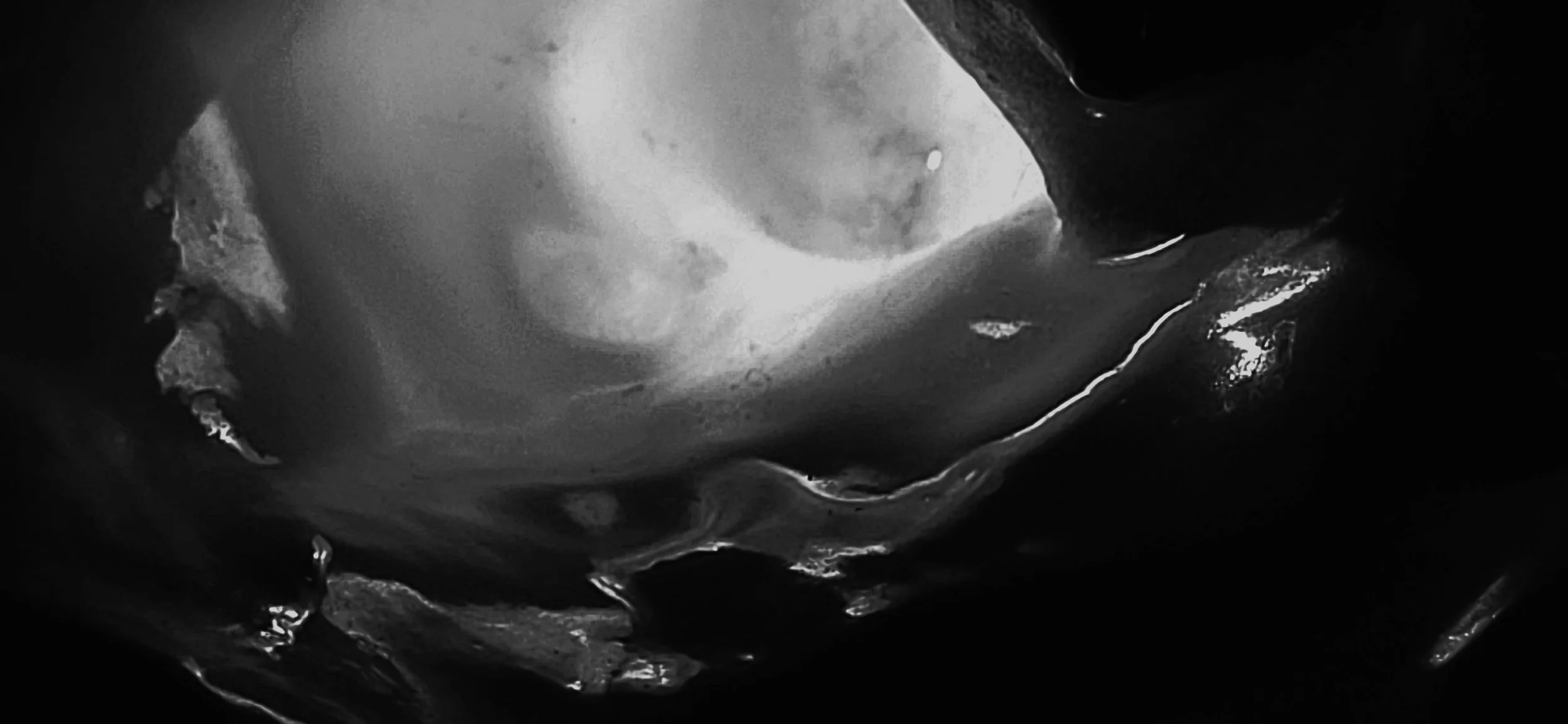 20250319_092948 (1).jpg