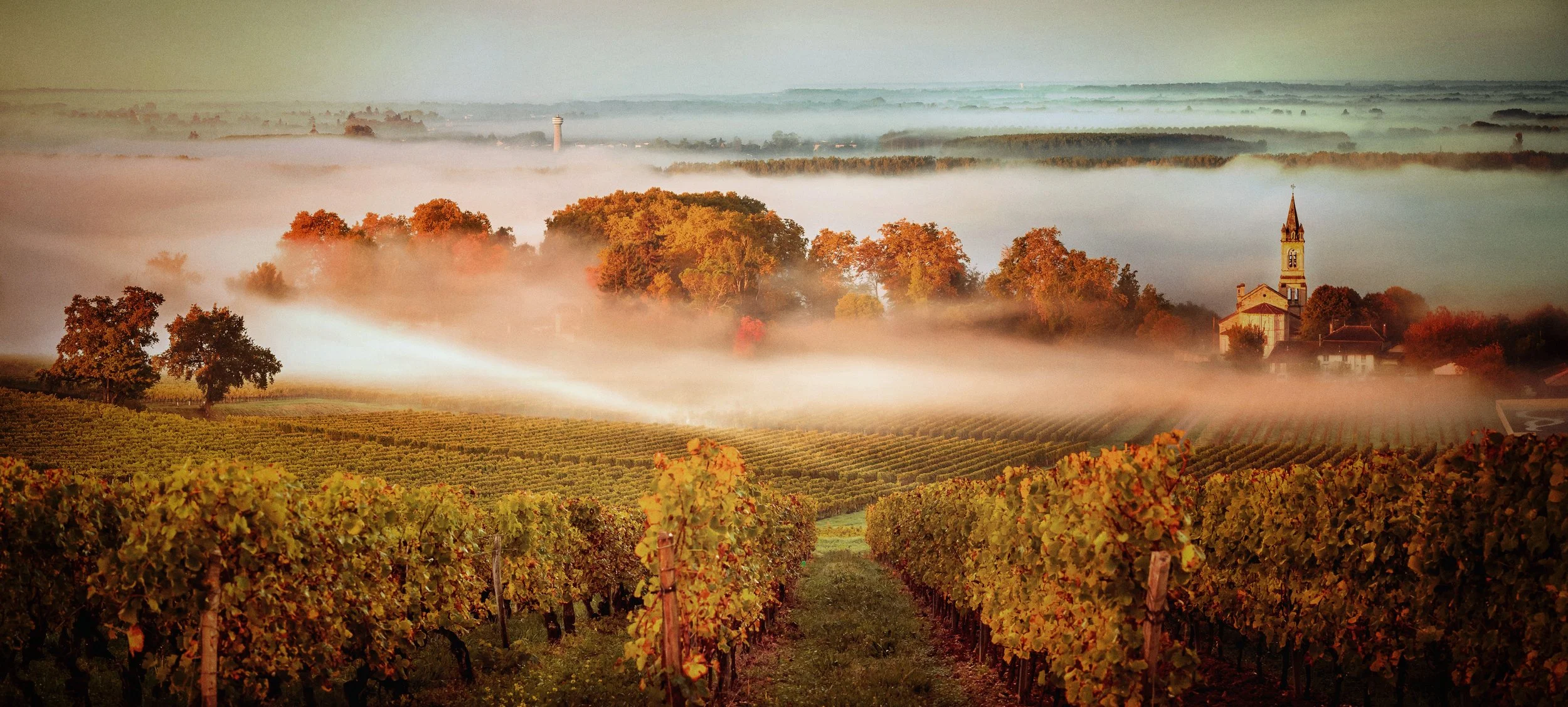 A scenic landscape of a vineyard in autumn with colorful trees, a church, and a foggy mist over fields in the distance.