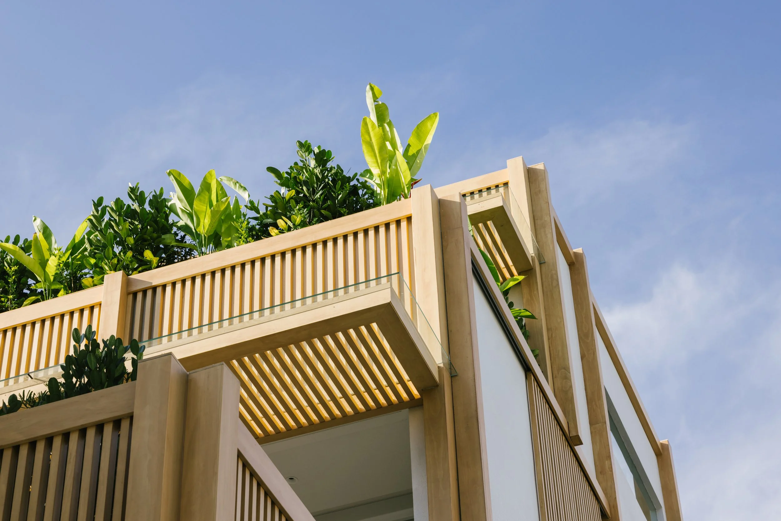51_Wilkinson_Rd_Type0_Architecture_Finbarr_Fallon_12.jpg