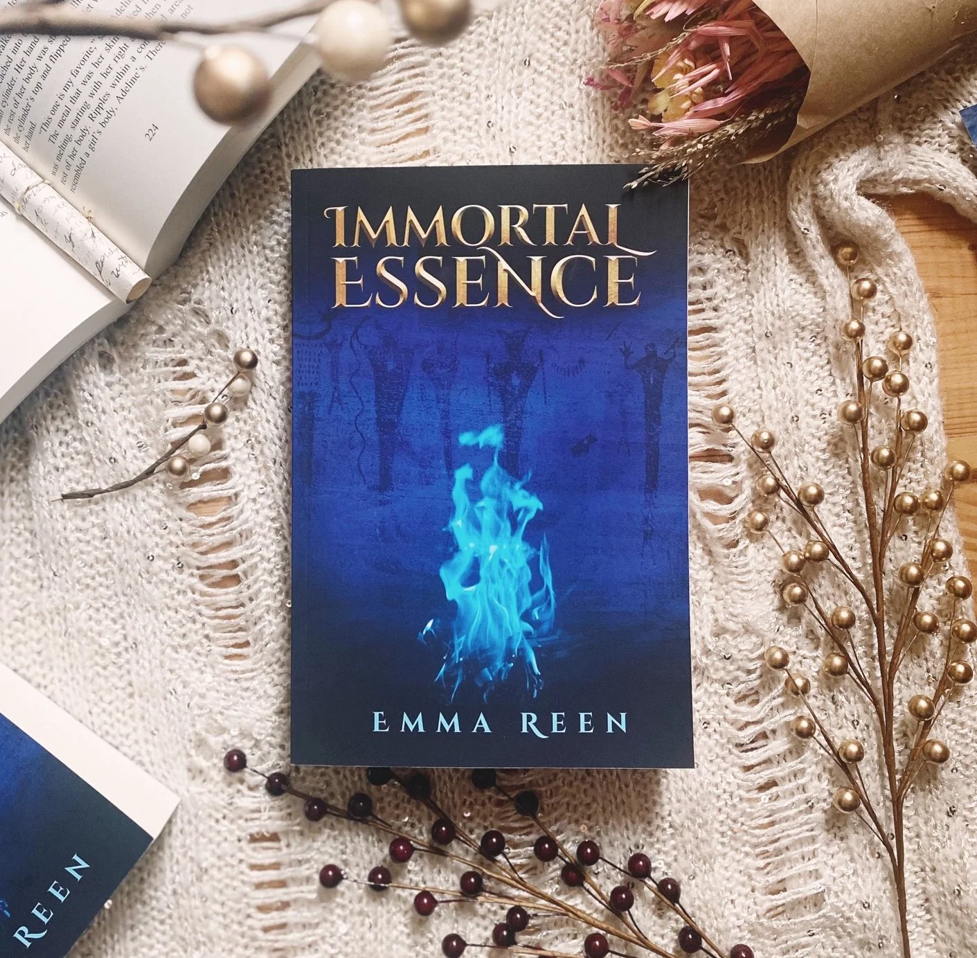 Excerpt from YA novel: Immortal Essence