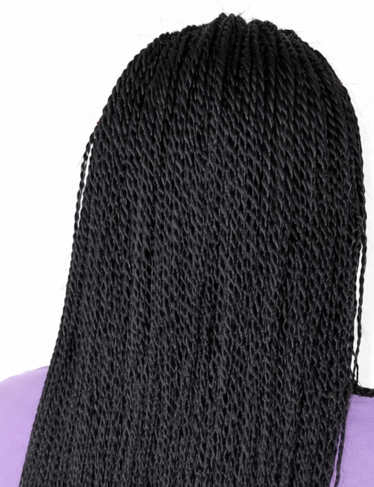 Back view of a person with black twisted braids hairstyle wearing a purple top.