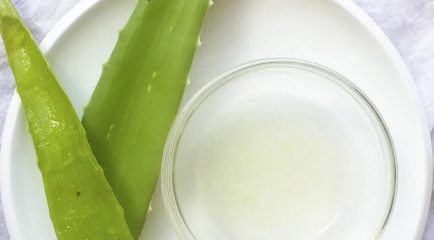 Home made natural Aloe Vera gel
