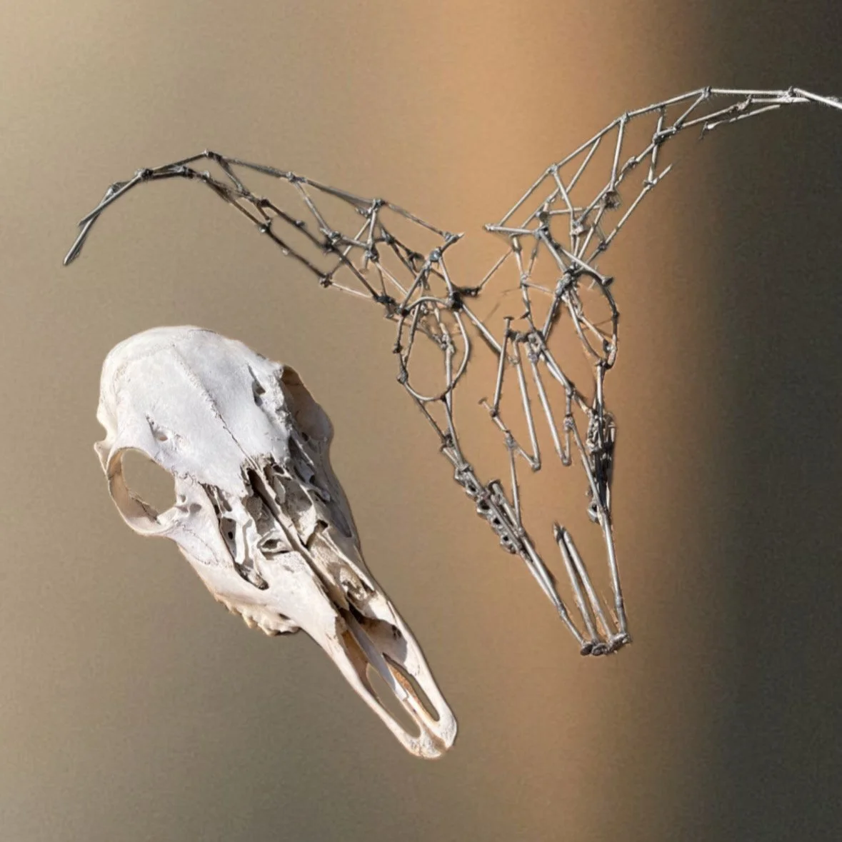 Deer Skull of Nails