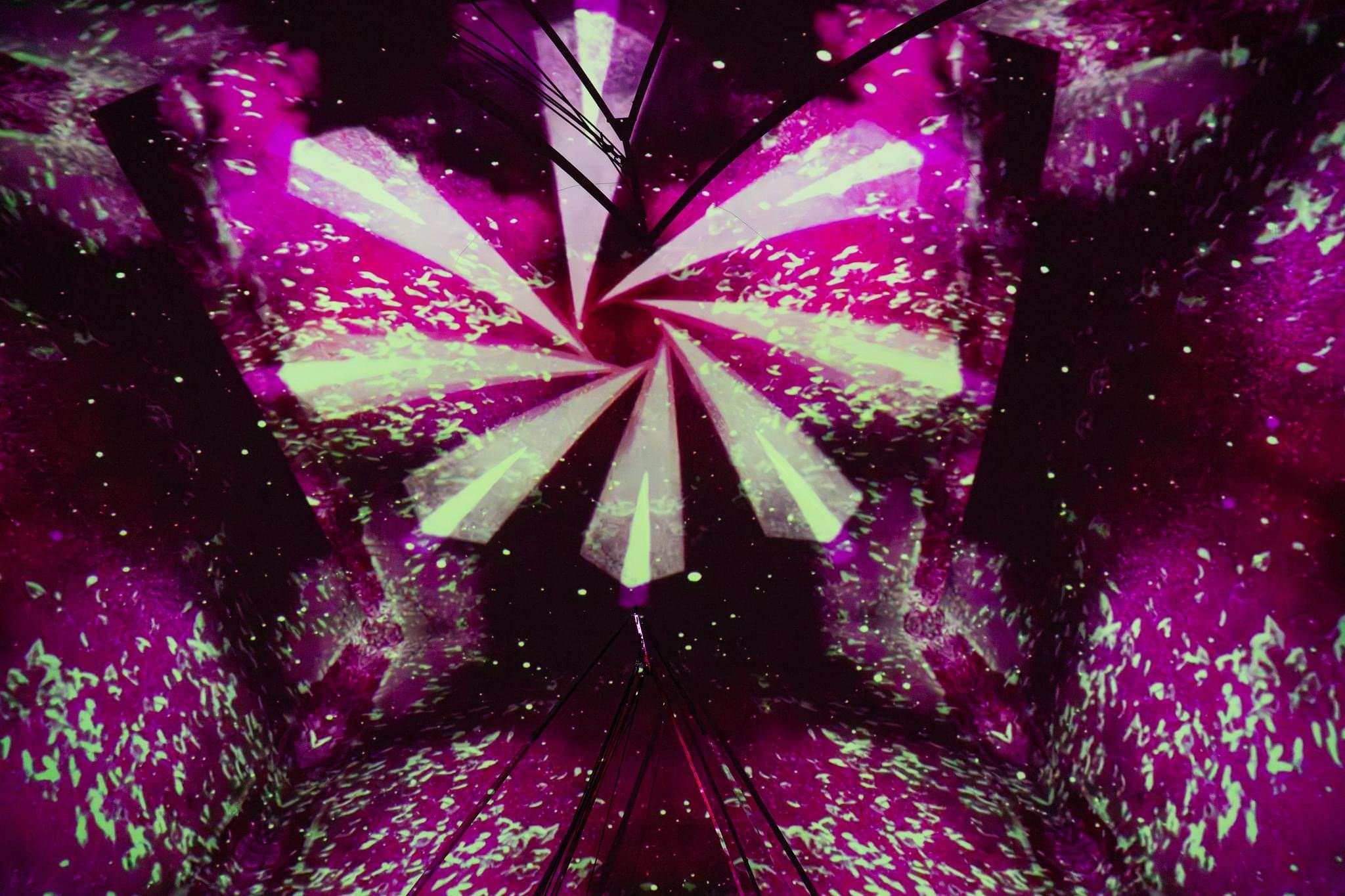 IMG_8743.JPG