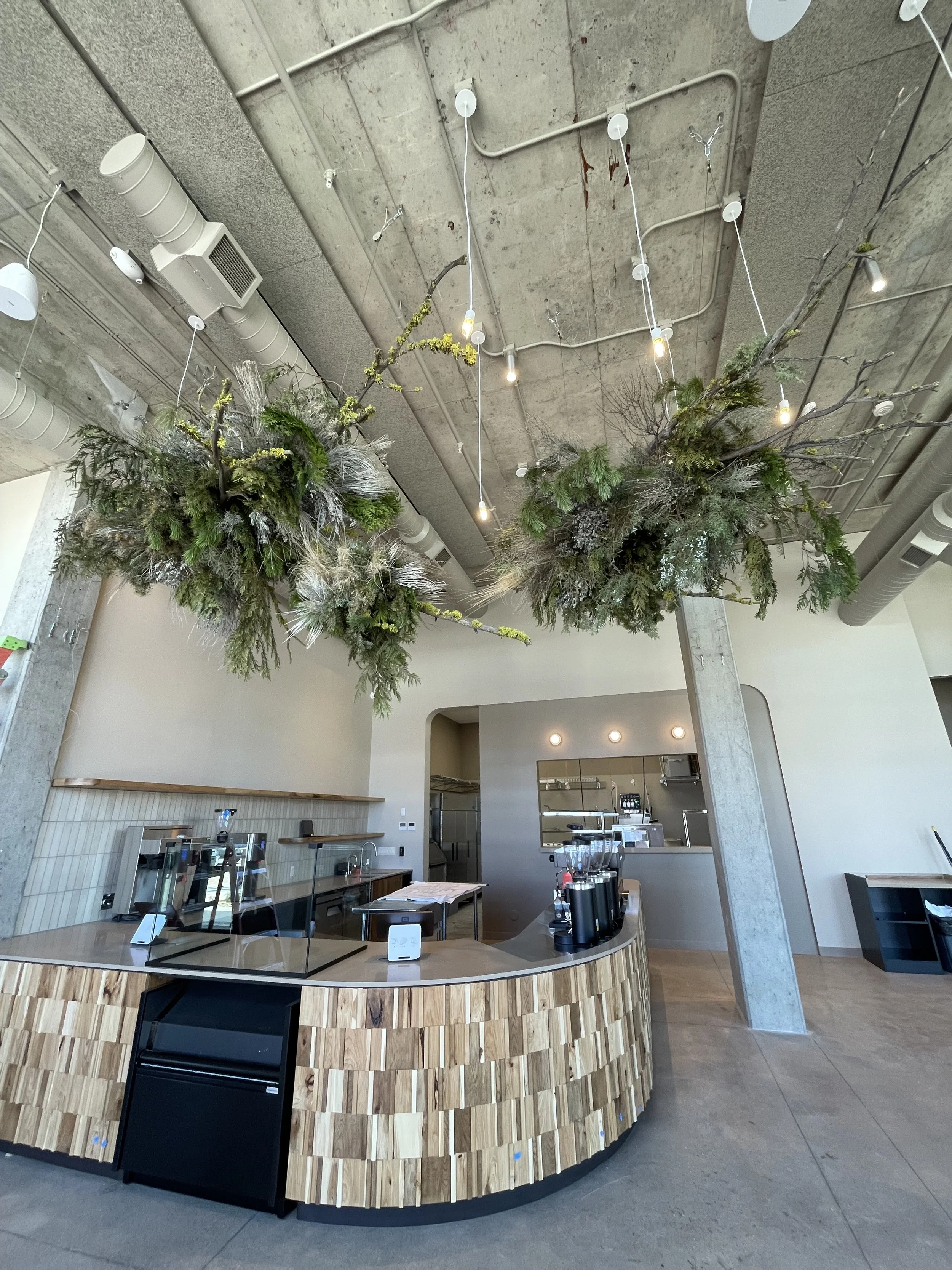 Modern coffee shop interior with a wooden counter, coffee machines, and a large hanging floral and branch installation on an industrial ceiling with exposed pipes and ductwork.