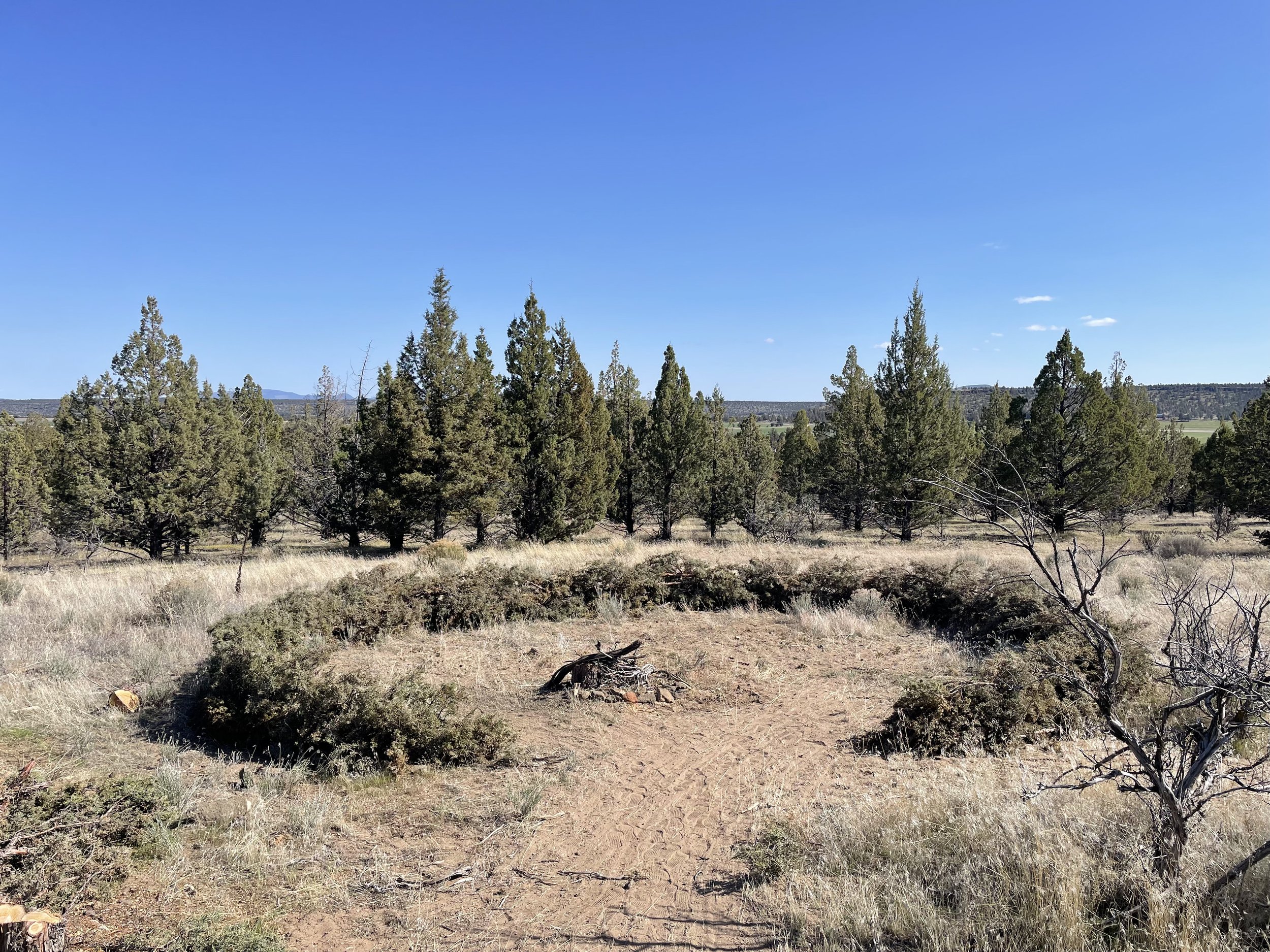A landscape with a clear blue sky, distant mountains, and a foreground of dry grass and sparse trees.