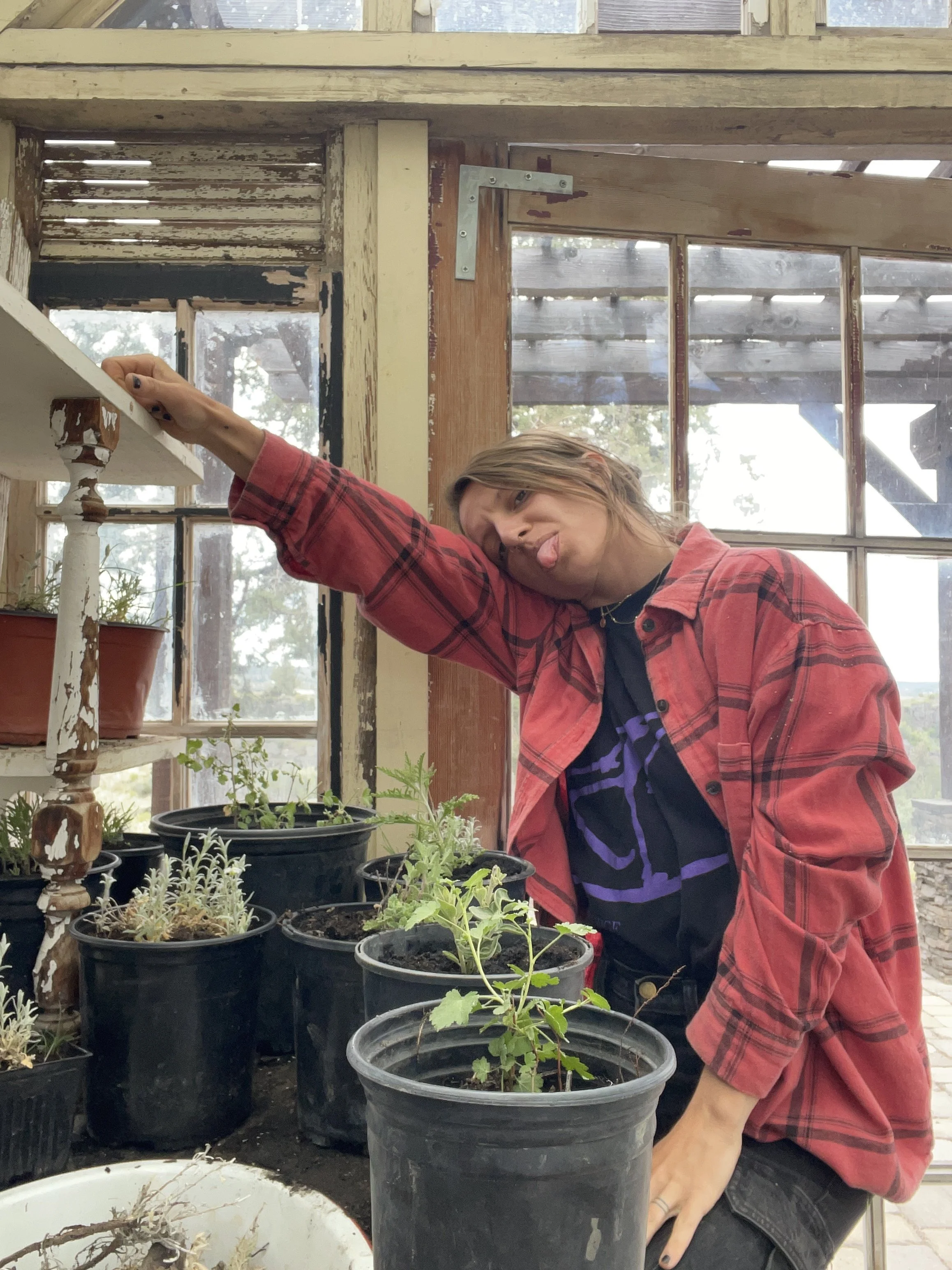 Person wearing a red plaid shirt leaning on a table filled with potted plants in a greenhouse or garden setting.
