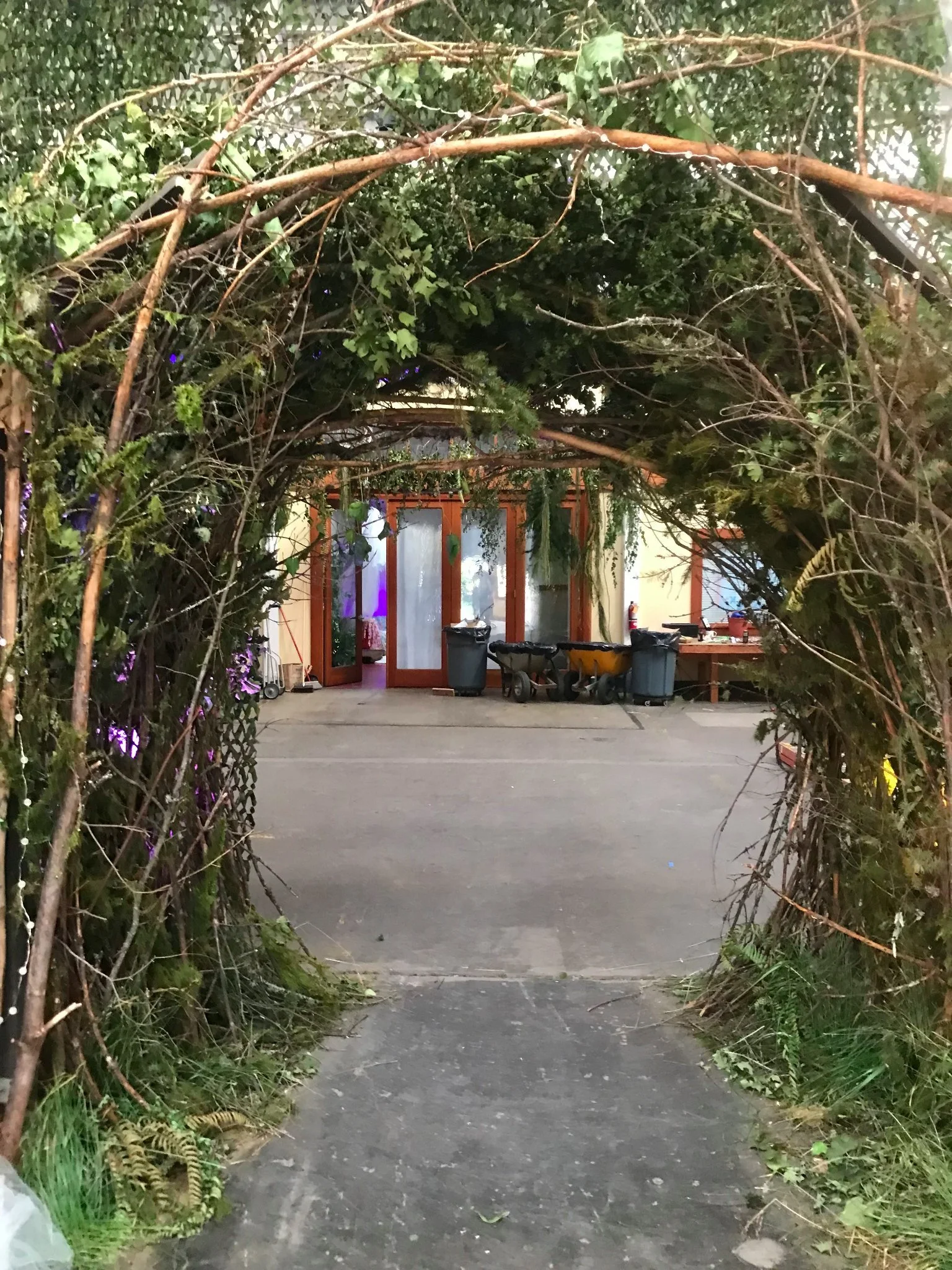 A pathway framed by dense greenery and branches, leading to a door with glass panes and a wooden frame, with trash bins and gardening tools in front.