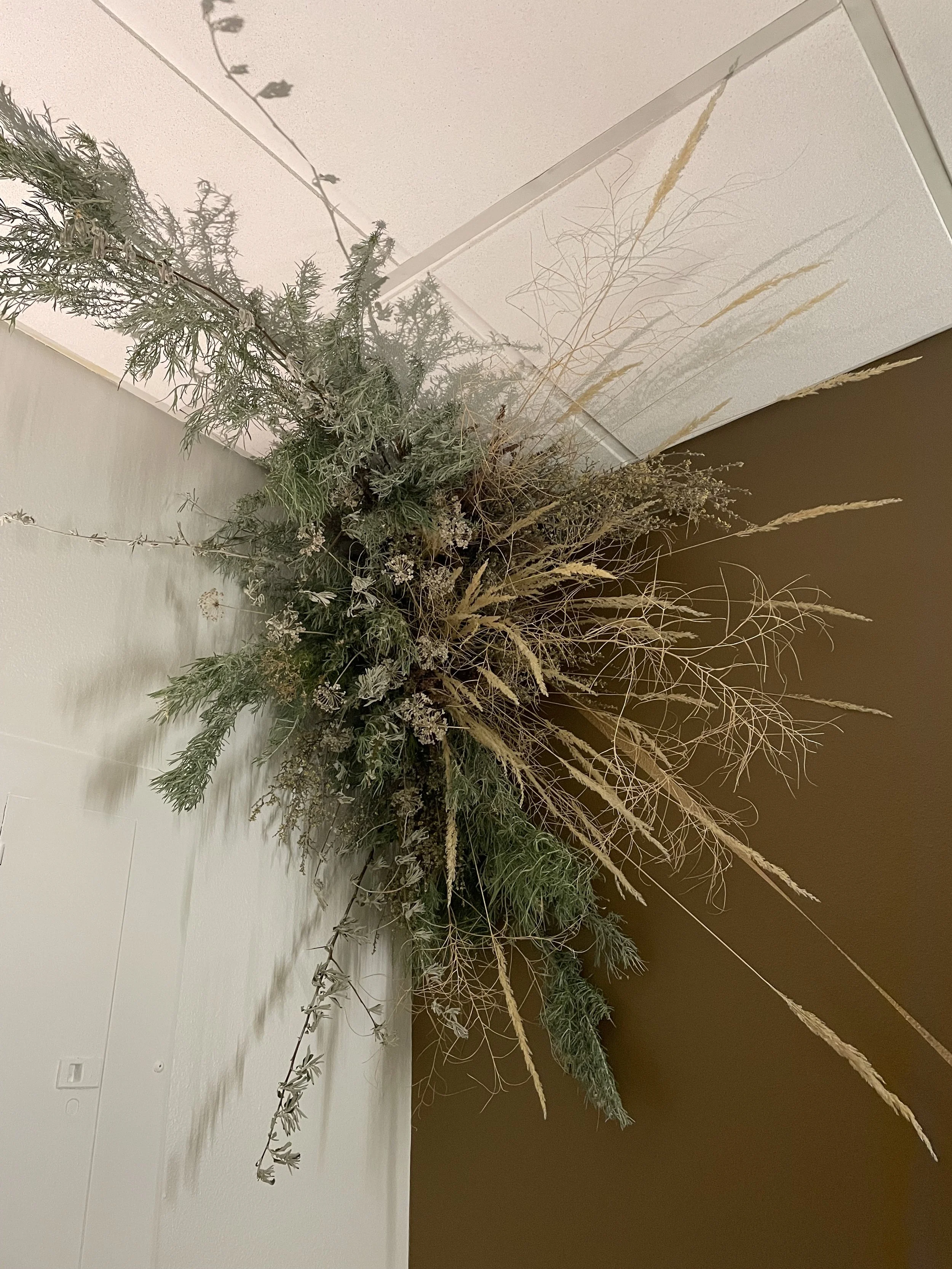 A large arrangement of dried plants and flowers, including grasses and foliage, placed against white and brown walls.