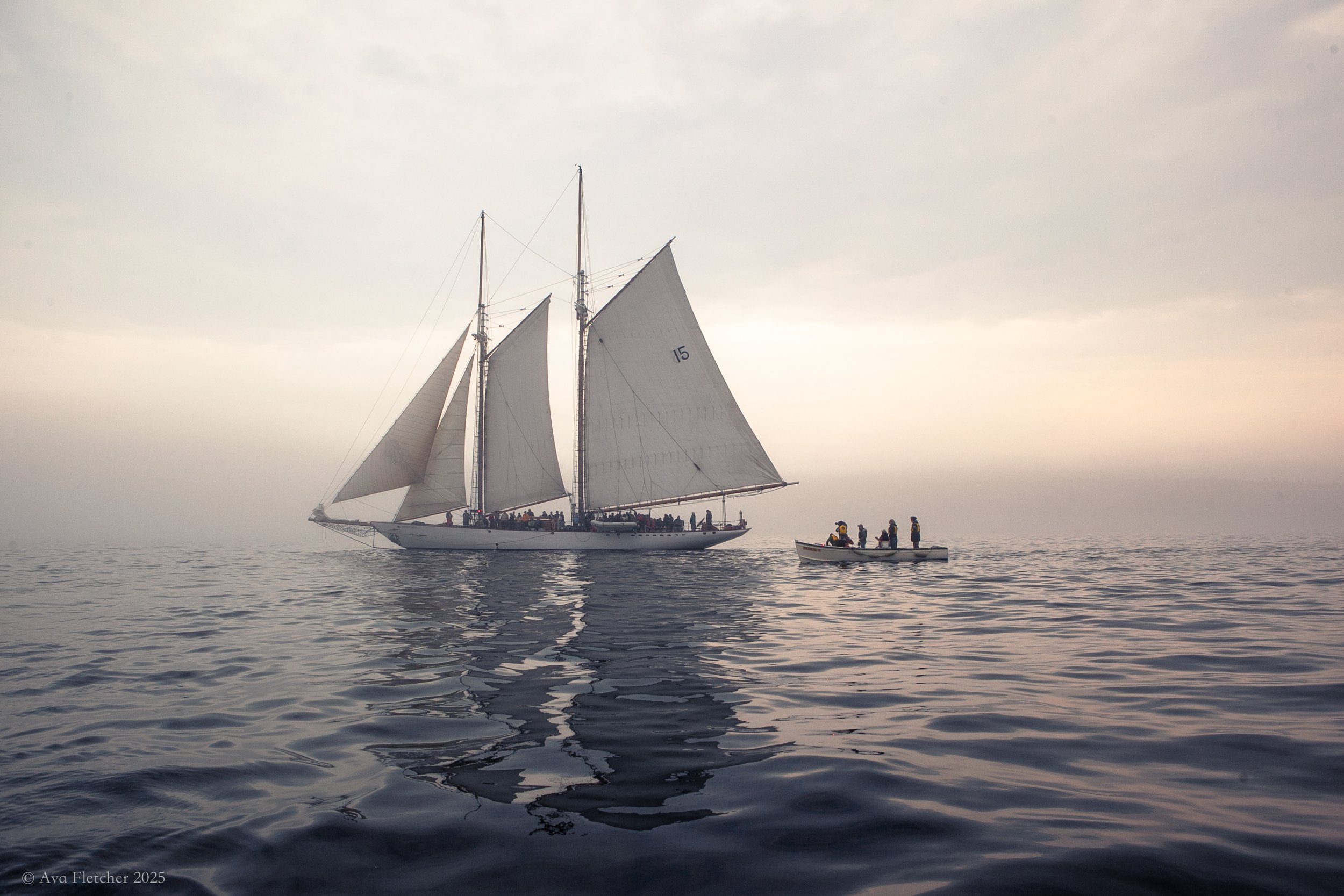 Wooden Boat Festival