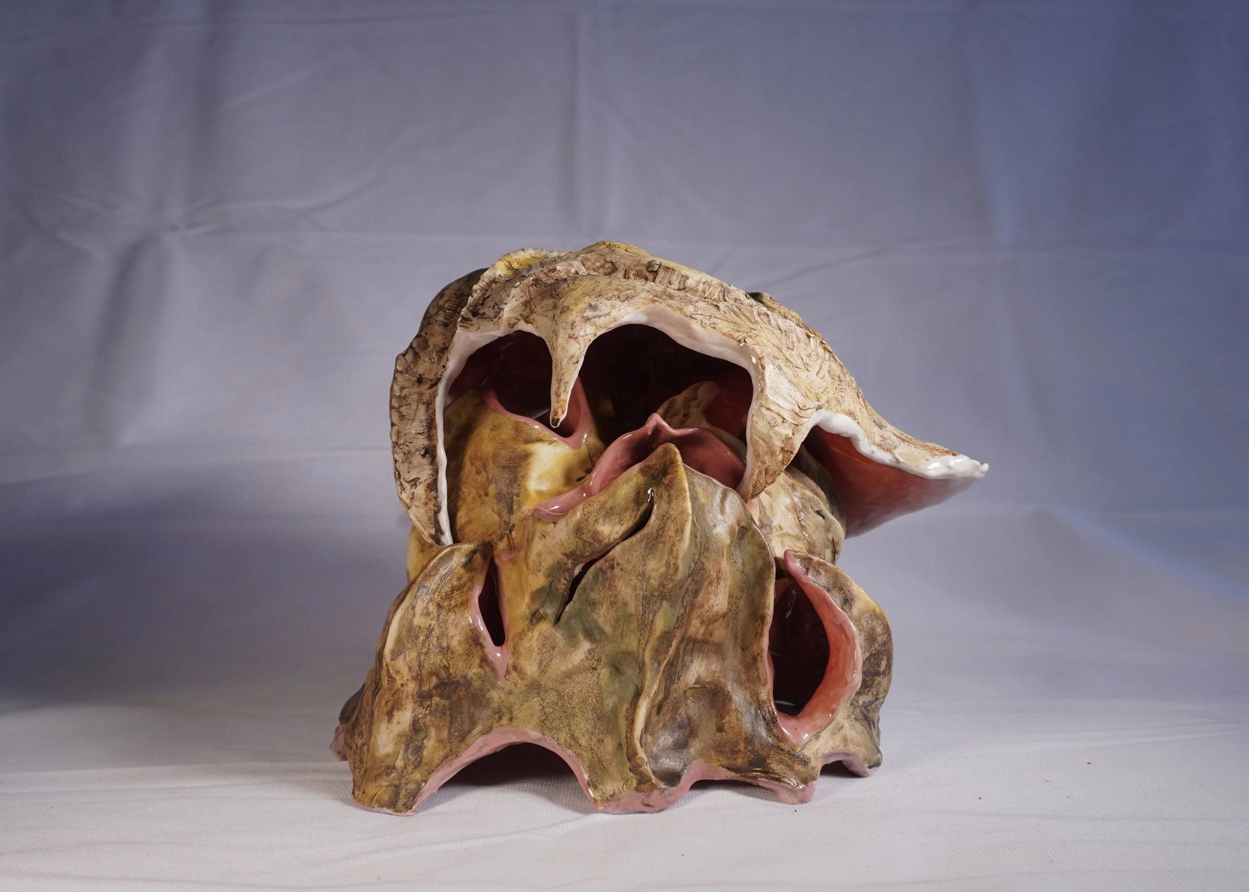 Sea Creatures, 2026
12 x 12 x 12, glazed ceramic with painted underglaze and iron oxide wash
