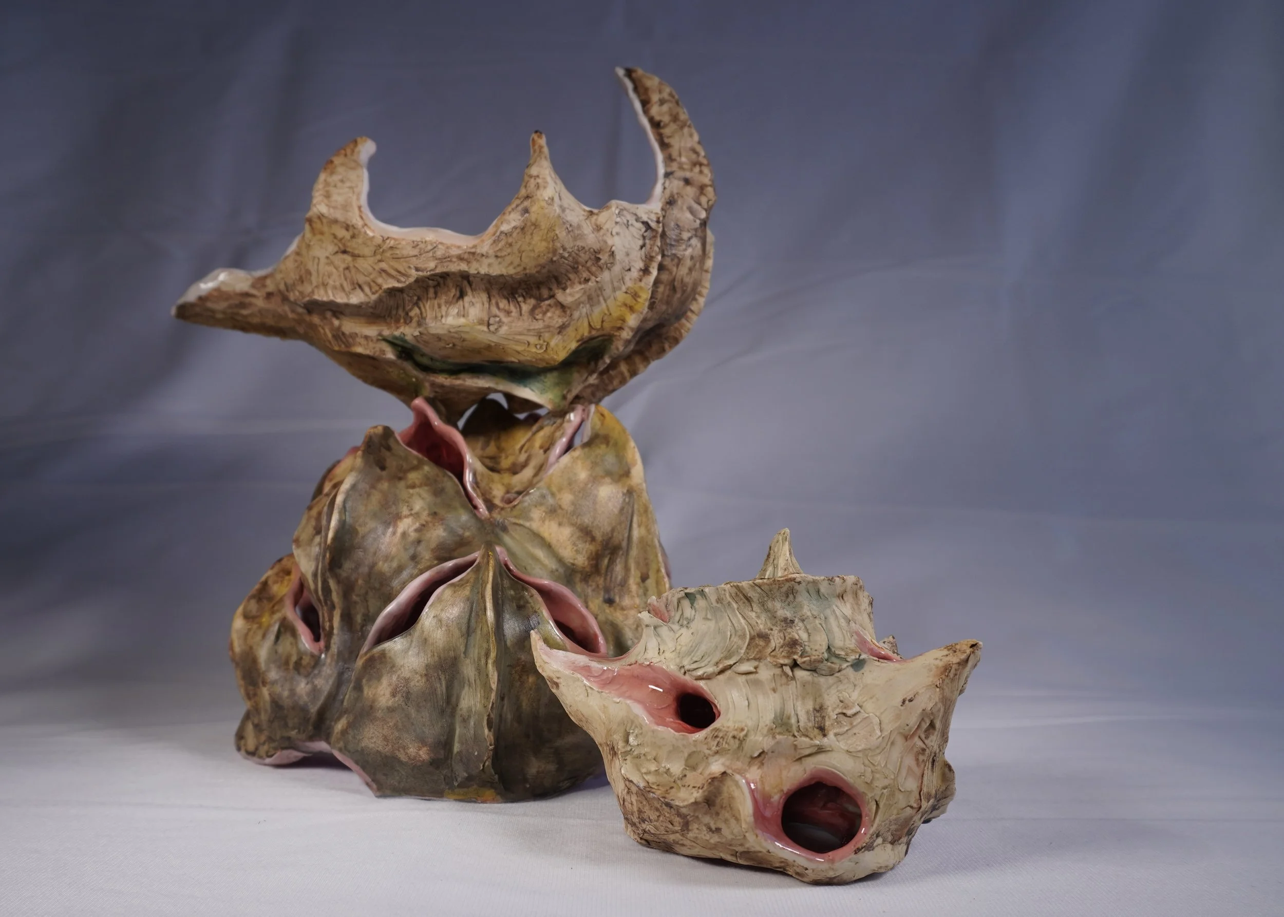 Sea Creatures, 2026
12 x 12 x 12, glazed ceramic with painted underglaze and iron oxide wash
