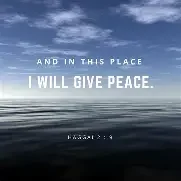 Peace Was the Promise: Learning to Live Without the Answers