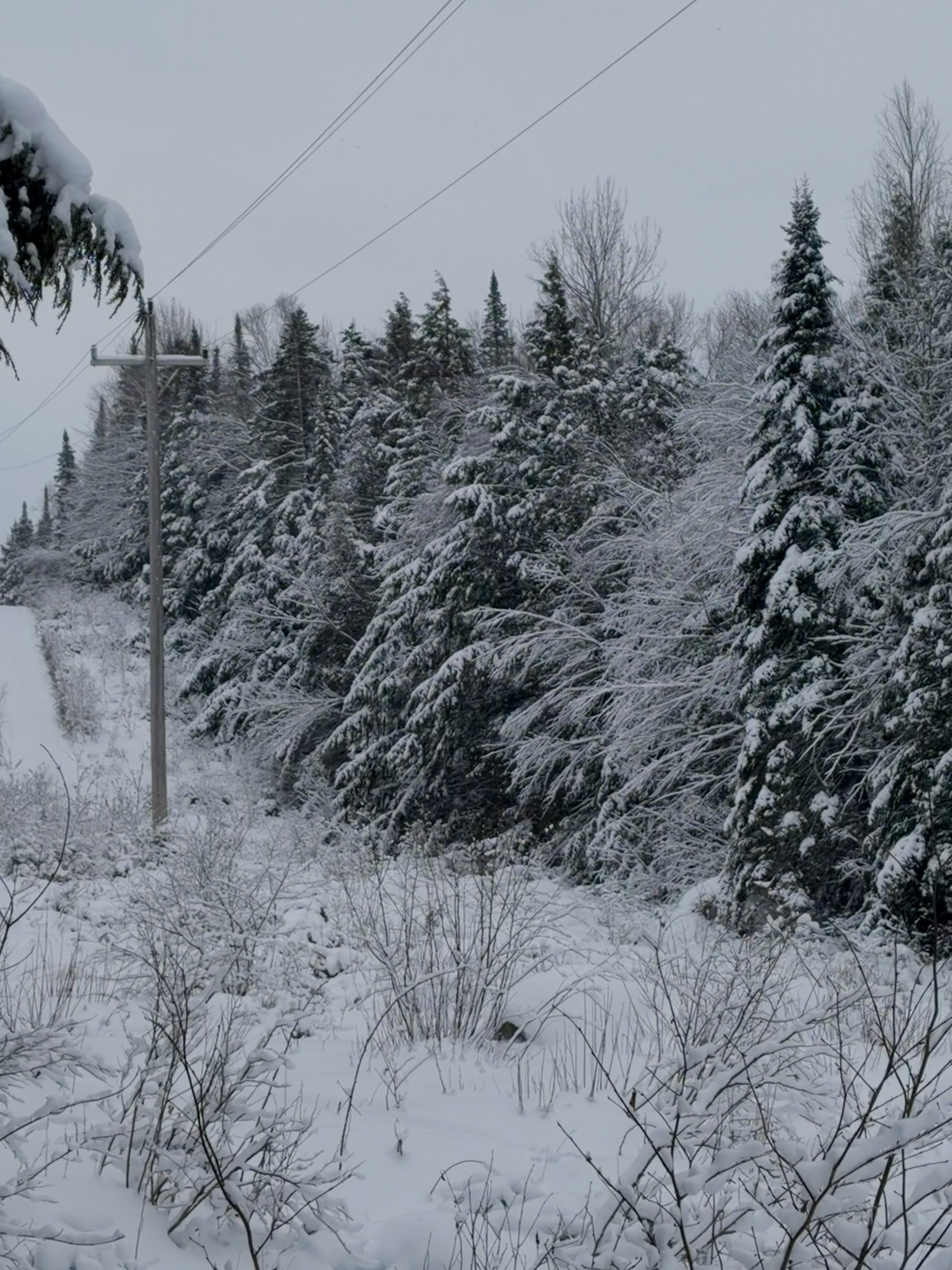 SNOW MOBILE