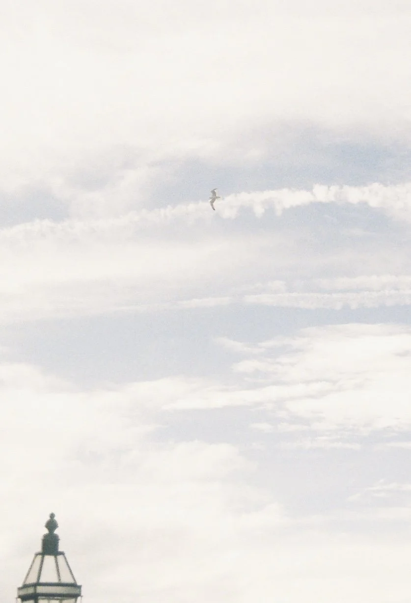 Cc61139_Cc61139-R1-011-4.jpg