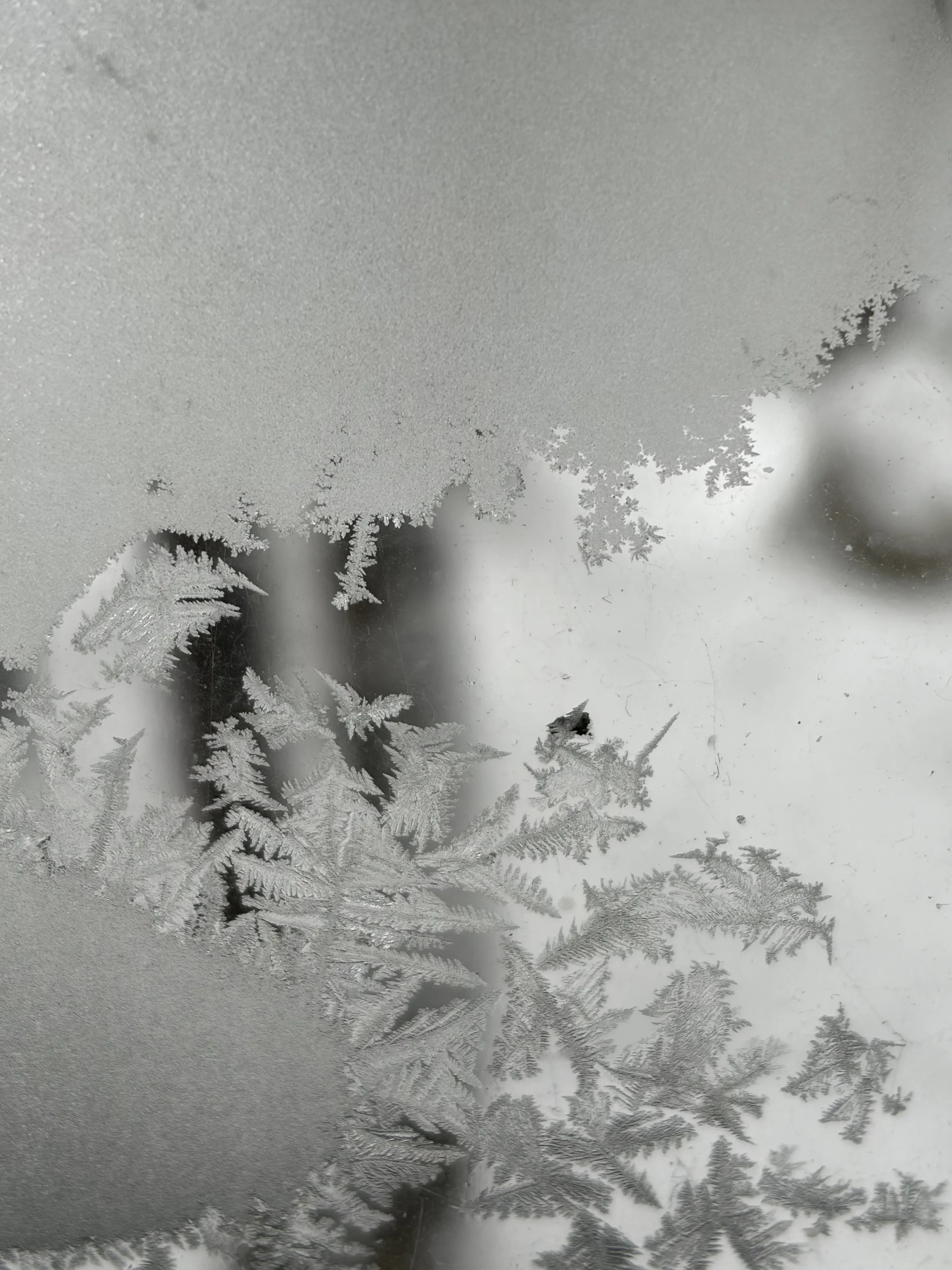 FROST