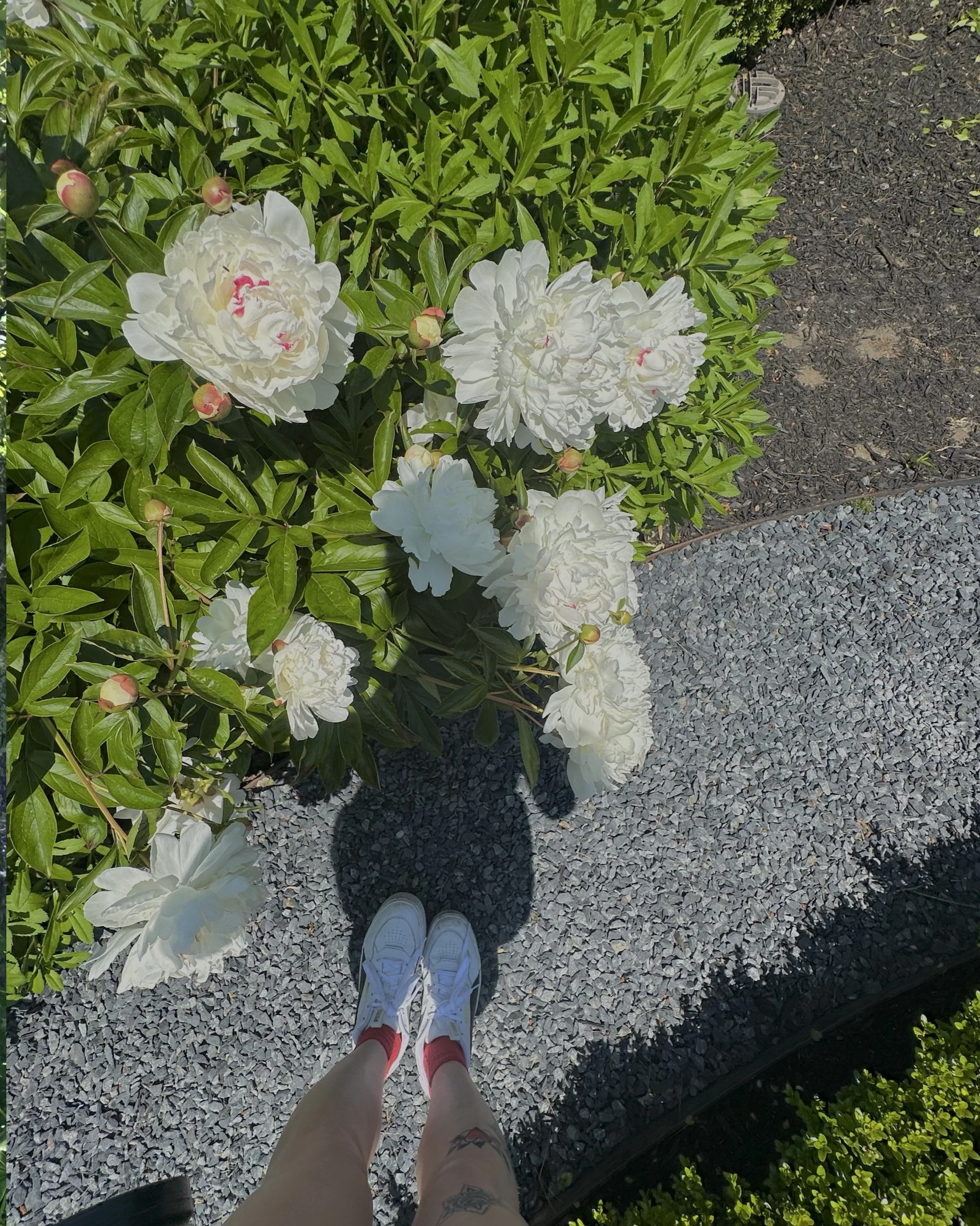 FLOWA