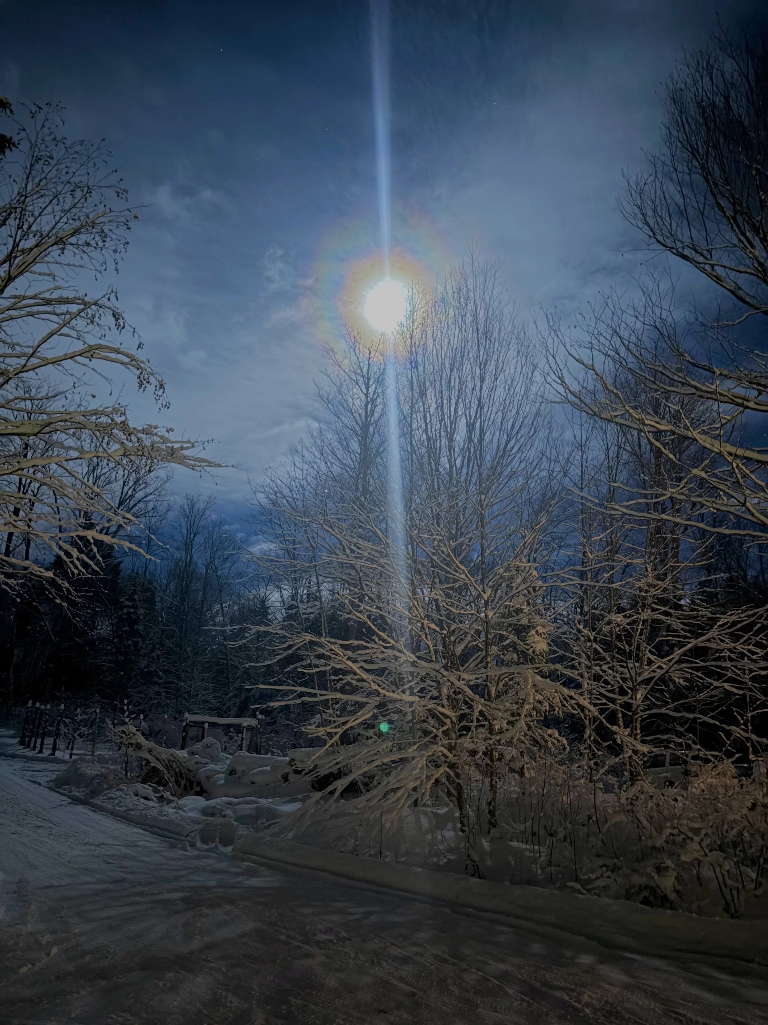 WOLF MOON