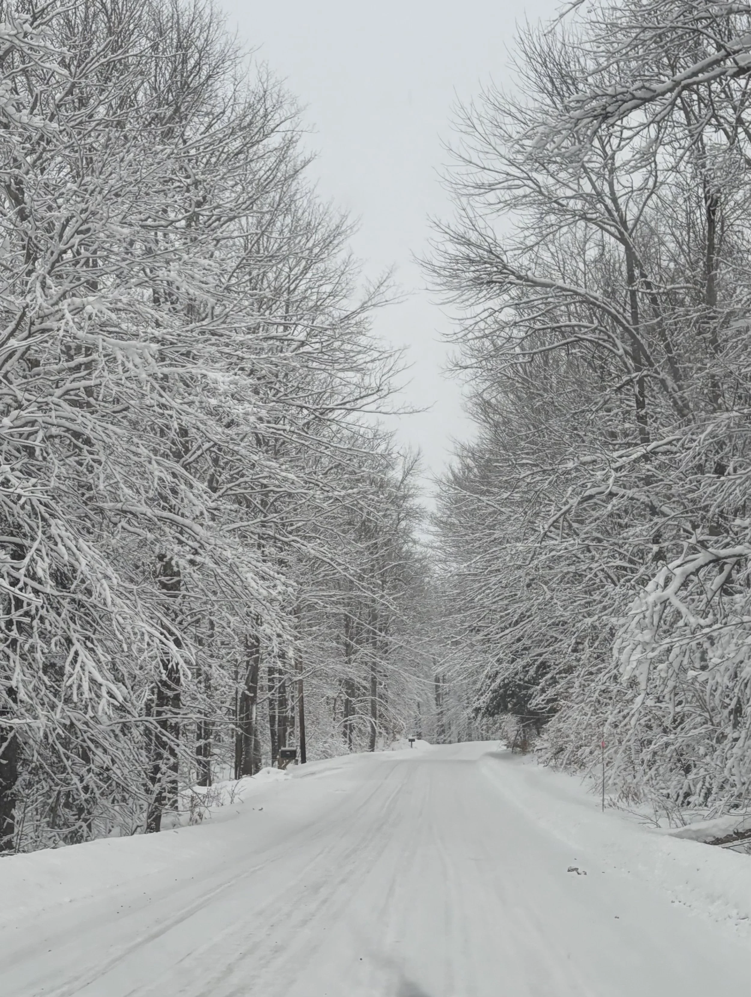SNOWY 
