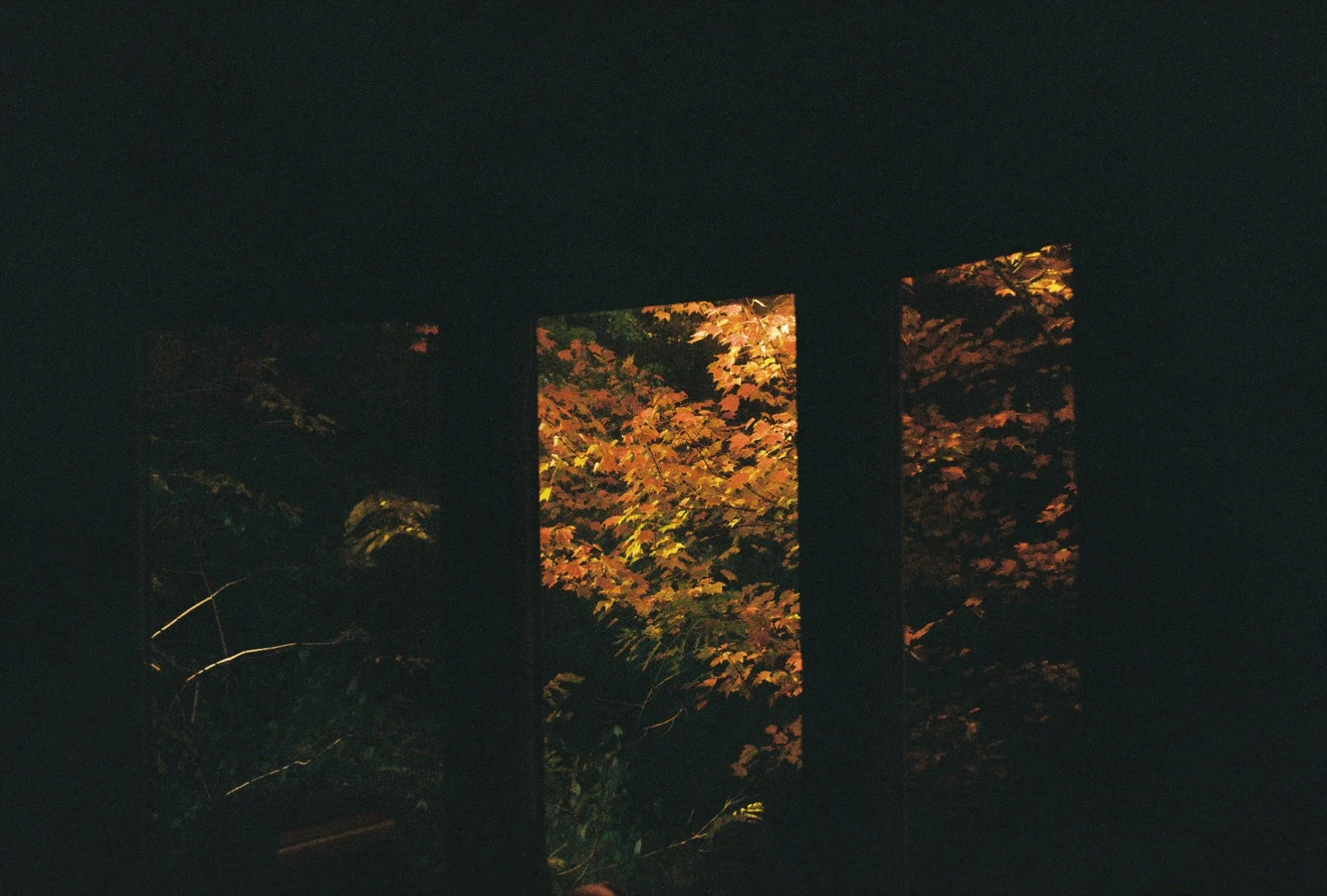 3 BAY WINDOW